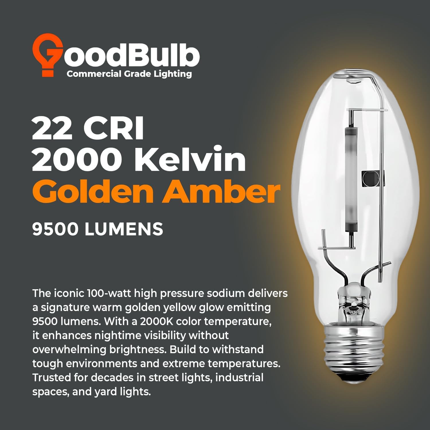 GoodBulb 100-Watt High Pressure Sodium HID Light Bulb E26 Base ED17 ANSI Code S54 High Output HID Light 2000K Warm White Light Color Clear Finish 24000 Life Hours (Pack of 2 Bulb)