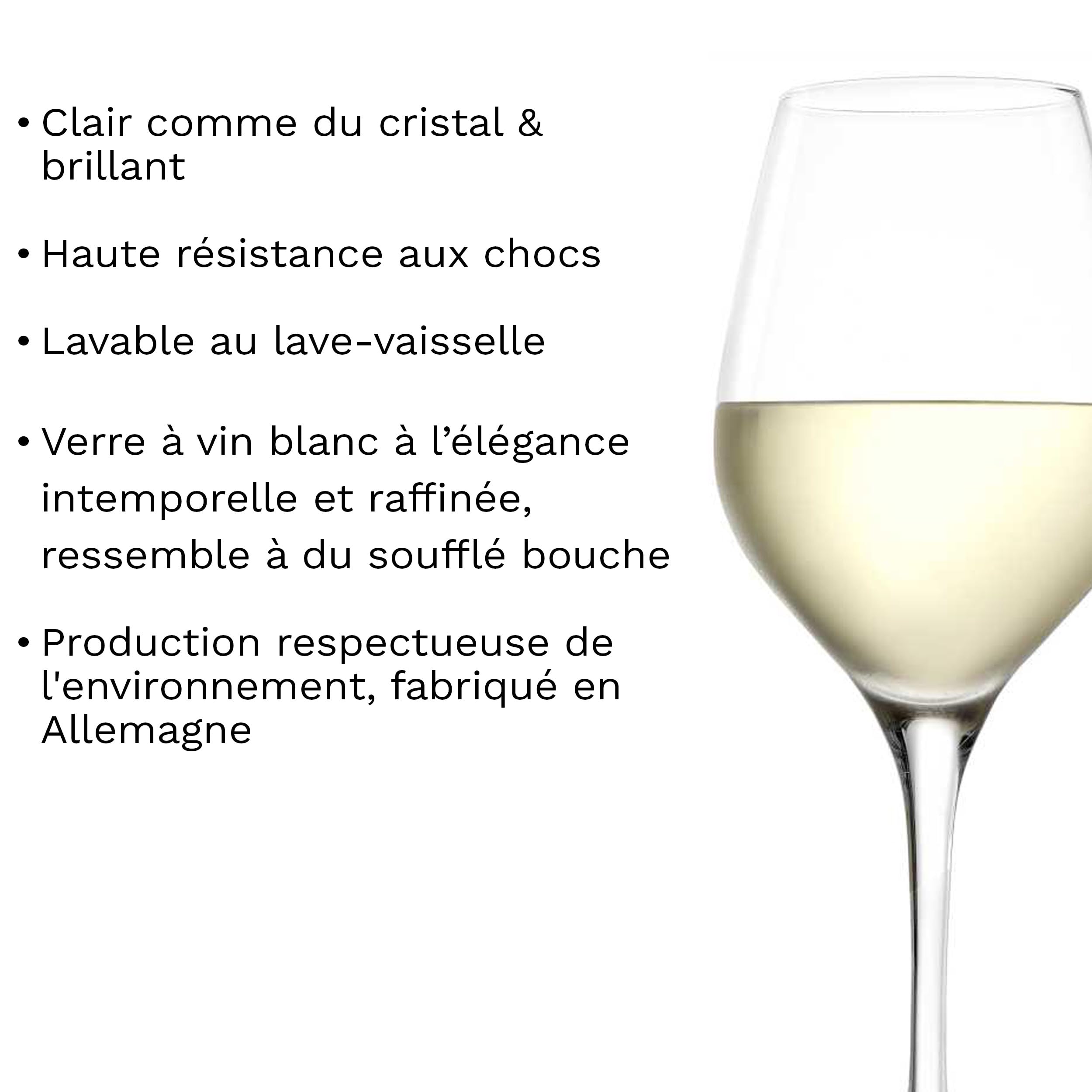 Stölzle Lausitz Verres à Vin Blanc Exquisit Lot de 6 350 ml – Verres en Cristal Haut de Gamme pour Vins Blancs Corsés – Élégants & Durables, Lavables au Lave-Vaisselle, Fabriqués en Allemagne