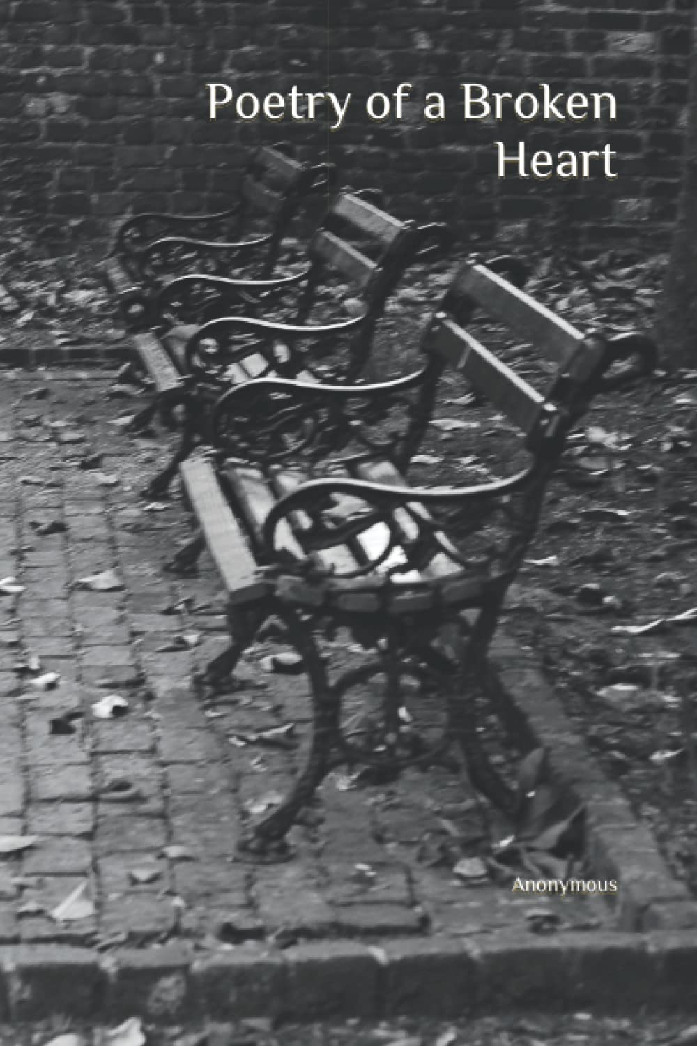 Poetry of a Broken Heart