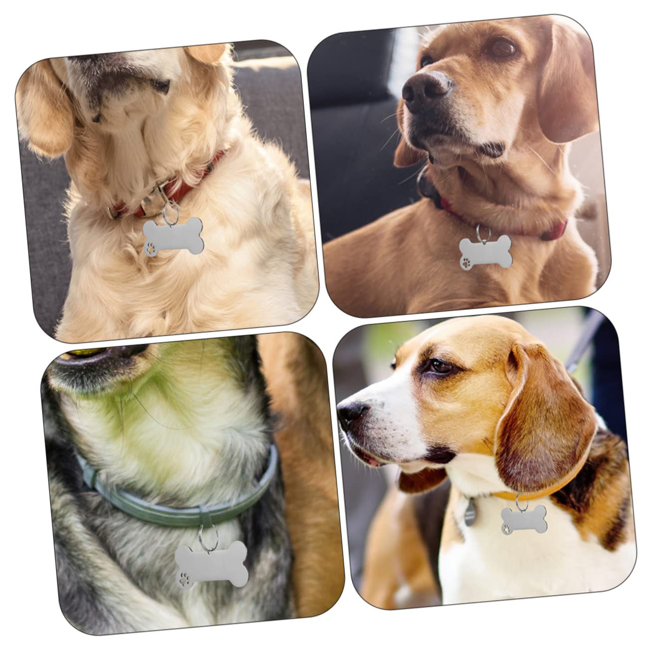 Happyyami 30pièces Médaille Identification pour Chiens Inoxydable Plaque Gravée pour Collier De Chiens Et Chats Accessoire Personnalisé pour Animaux De Compagnie