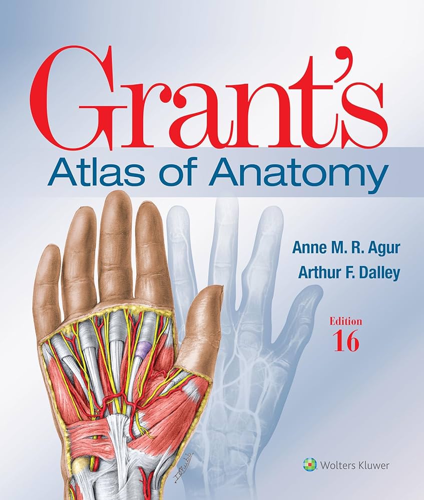 健康・医学 Grant's ATLAS OF ANATOMY 71pwBXmMgsL._UF894,1000_QL80_.jpg