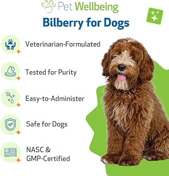 Pet Wellbeing Bilberry for Dogs - Eye & Vision Support with Antioxidants, Capillary Health, Retinal Support - NASC Certified & Vet-Formulated - 2 oz Liquid