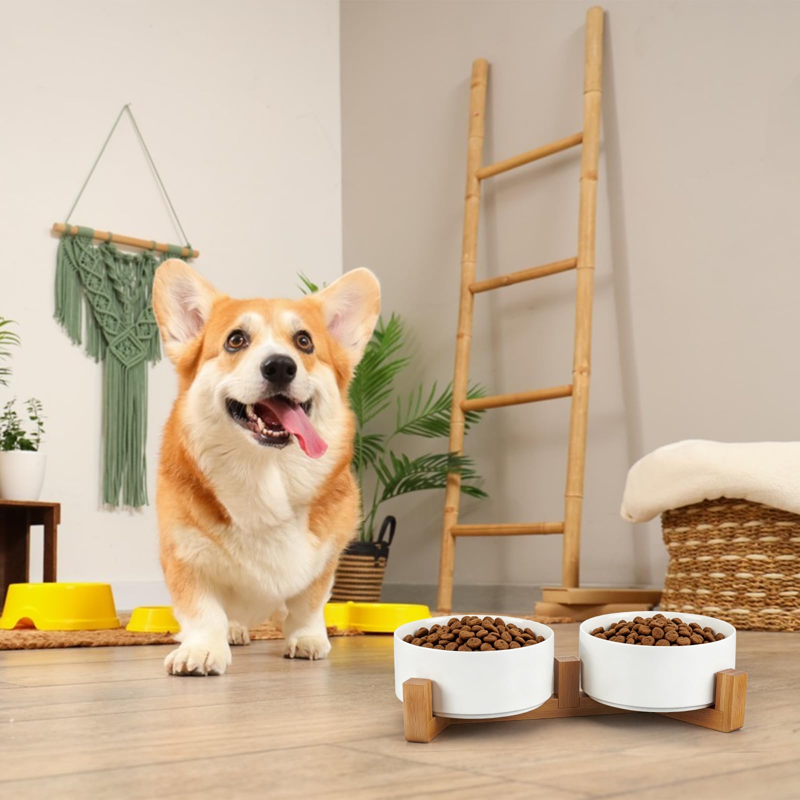 Ciotole per cani in ceramica con supporto in legno