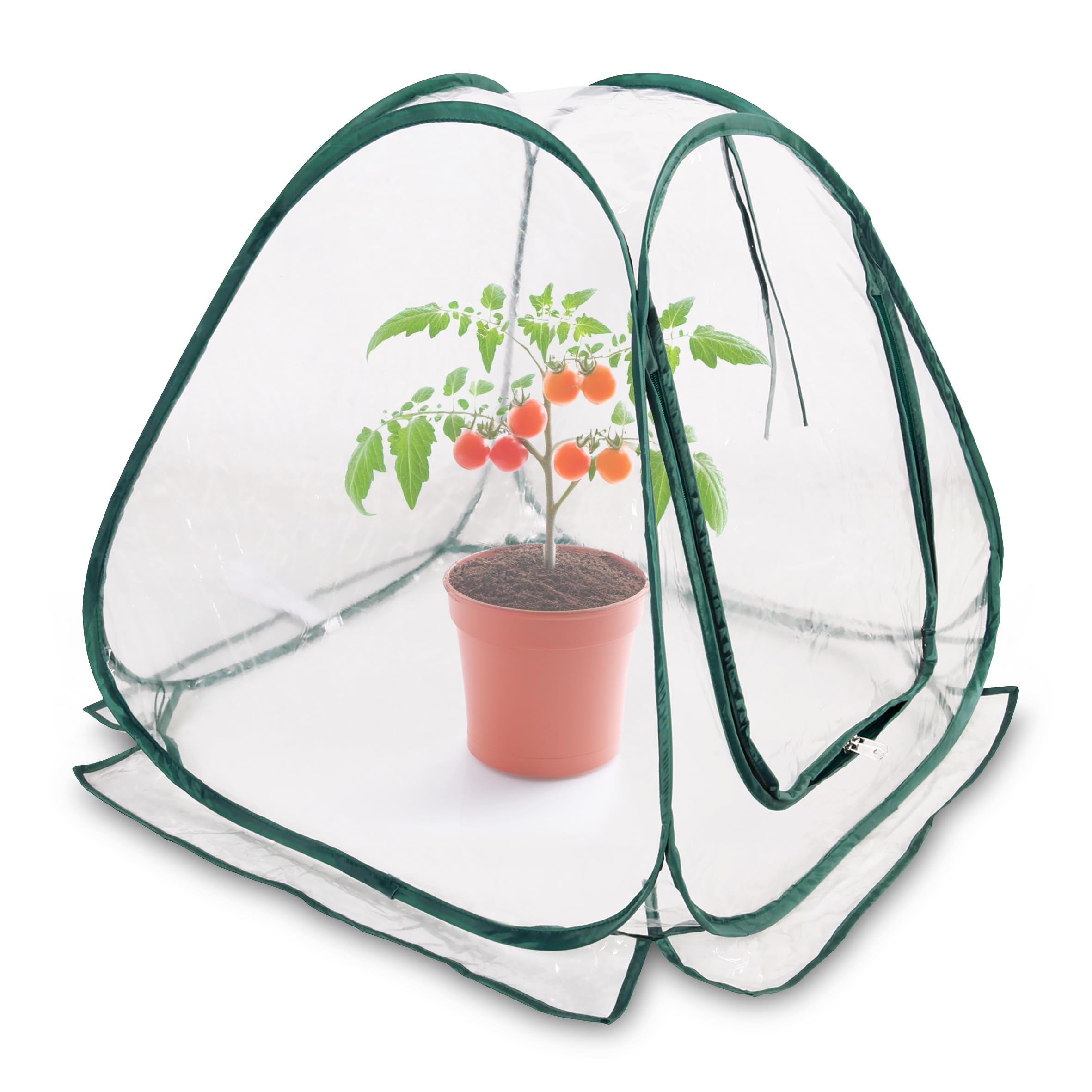 Spetebo Mini Pop-Up Foil Greenhouse 60 x 60 cm - Small Greenhouse for Vegetables, Flowers & Mushrooms - Transparent PVC Winter Tent for Plants - No Assembly Required S/60 cm