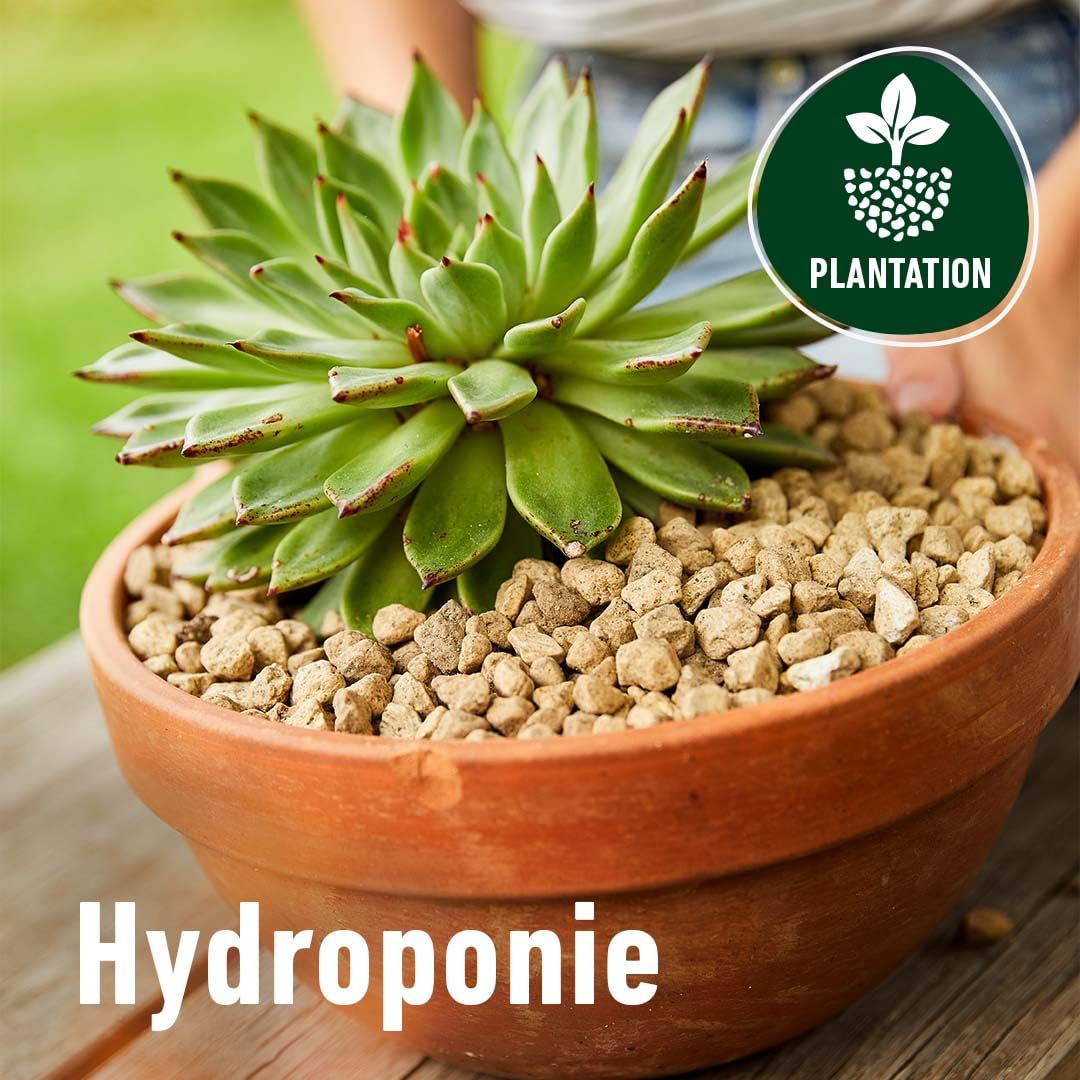 Algoflash Naturasol Granulado de drenaje y plantación – Piedra pómez 100% natural – Alternativa duradera a la bola de arcilla – 10 l