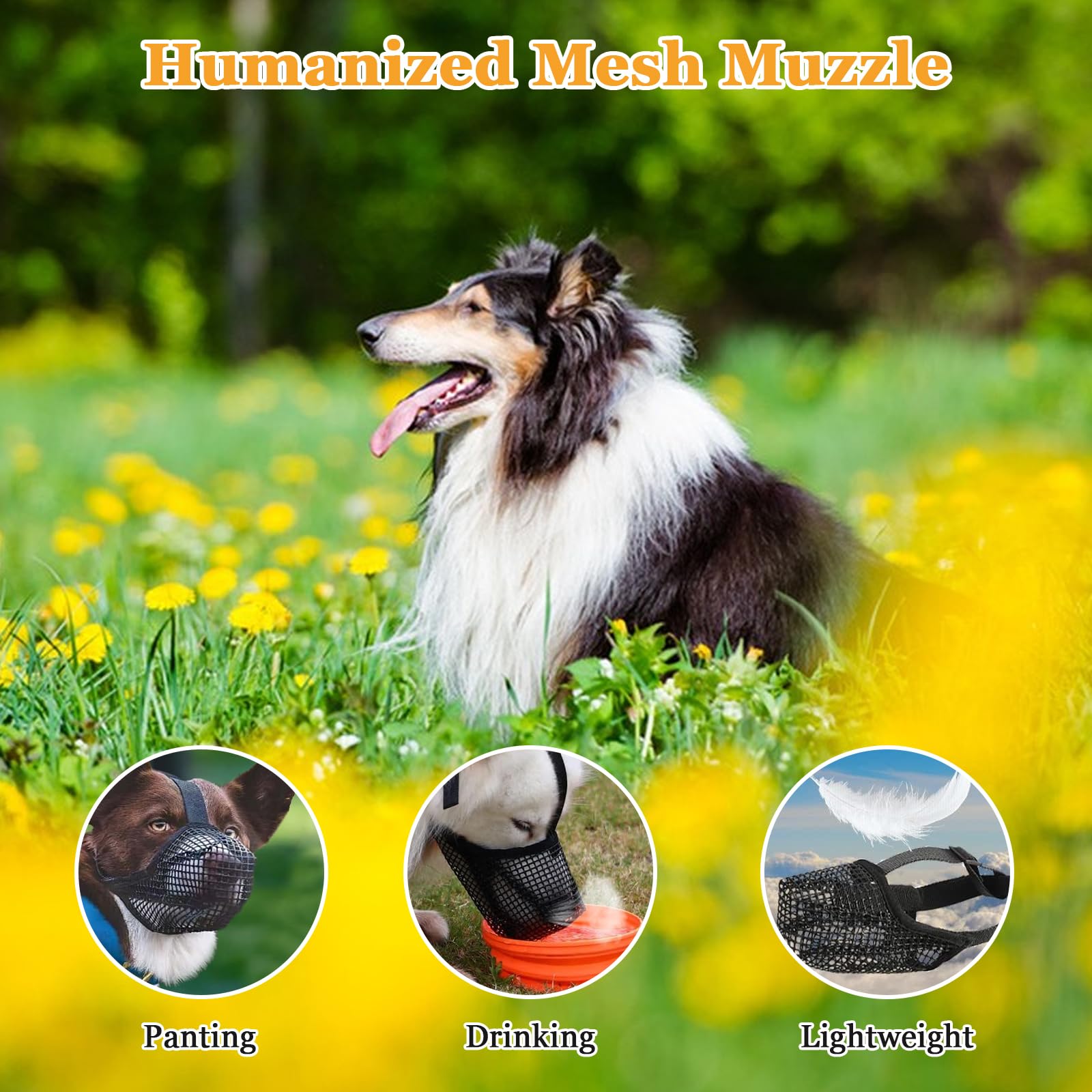 Museruola In Nylon Per Cani Taglia M | 2 Pezzi Traspiranti | Regolabile E Antimorso | Per Passeggiate E Toelettatura