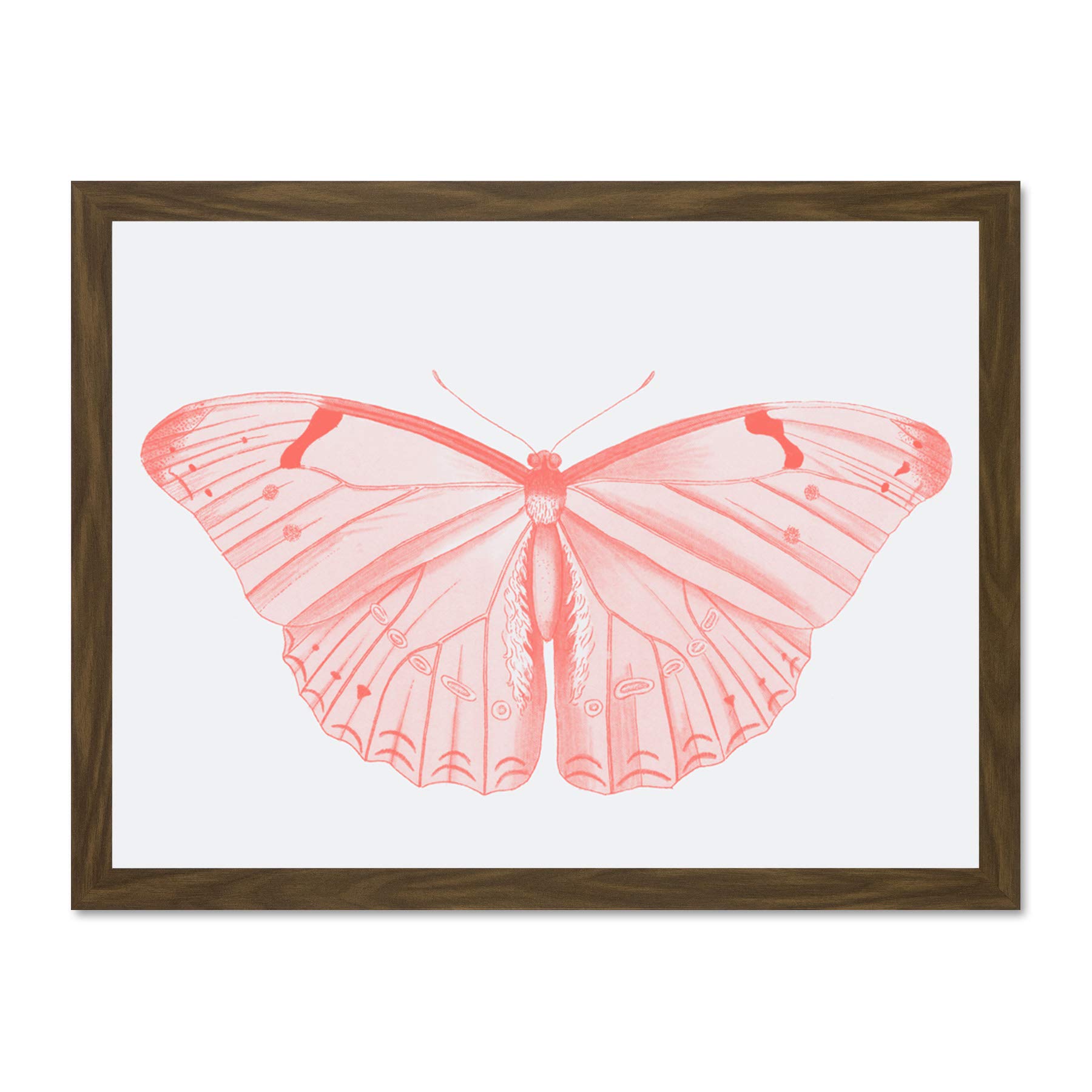 Wee Blue Coo Living Coral Butterfly Large Brown Framed Art Print Wall Poster 18x24 inch