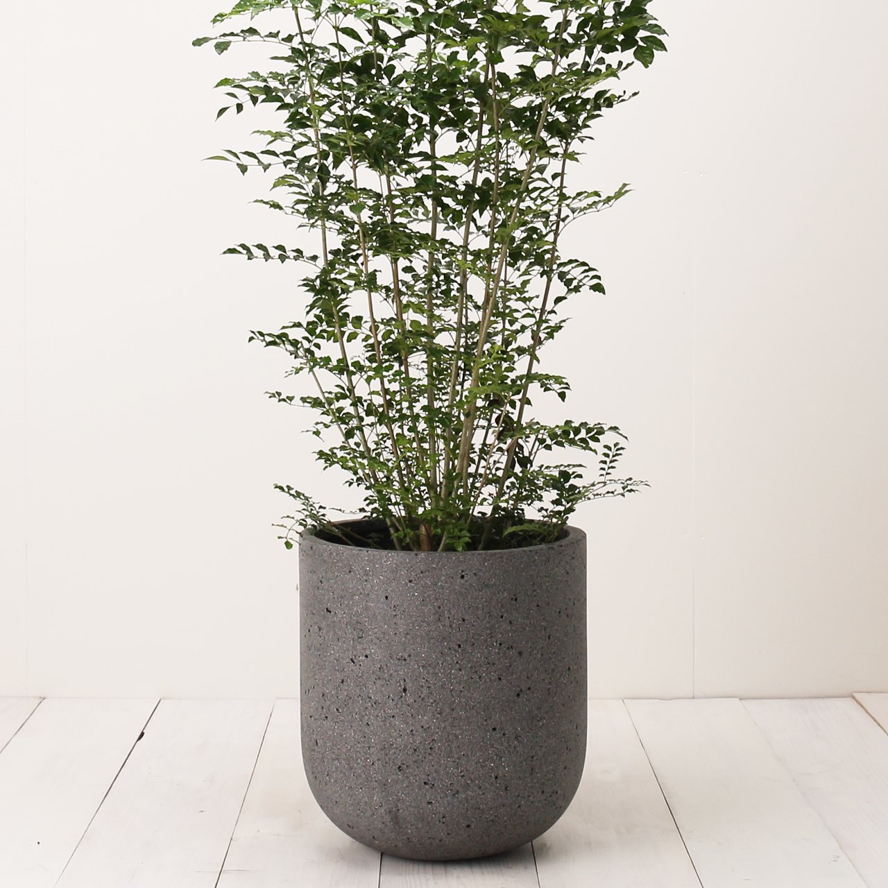 Amazon.co.jp: 植木鉢 大型 モノ・ストーン バルゴ ラテル