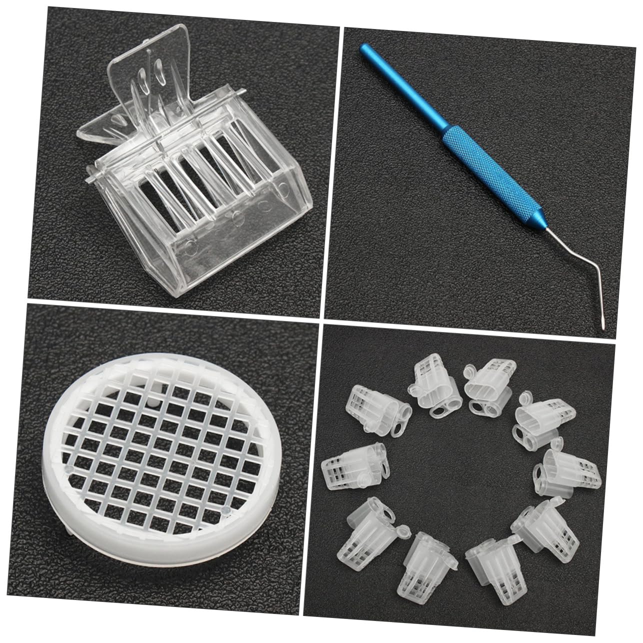Hemobllo Kit De Herramientas De Apicultura Herramienta Para Abejas Reinas Caja De Alimentación Ligera y Resistente
