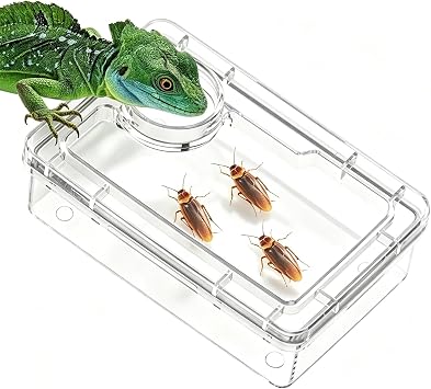 Reptile Water Bowl, Tortoise Food Bowl, Anti-Escape Feeding Dish