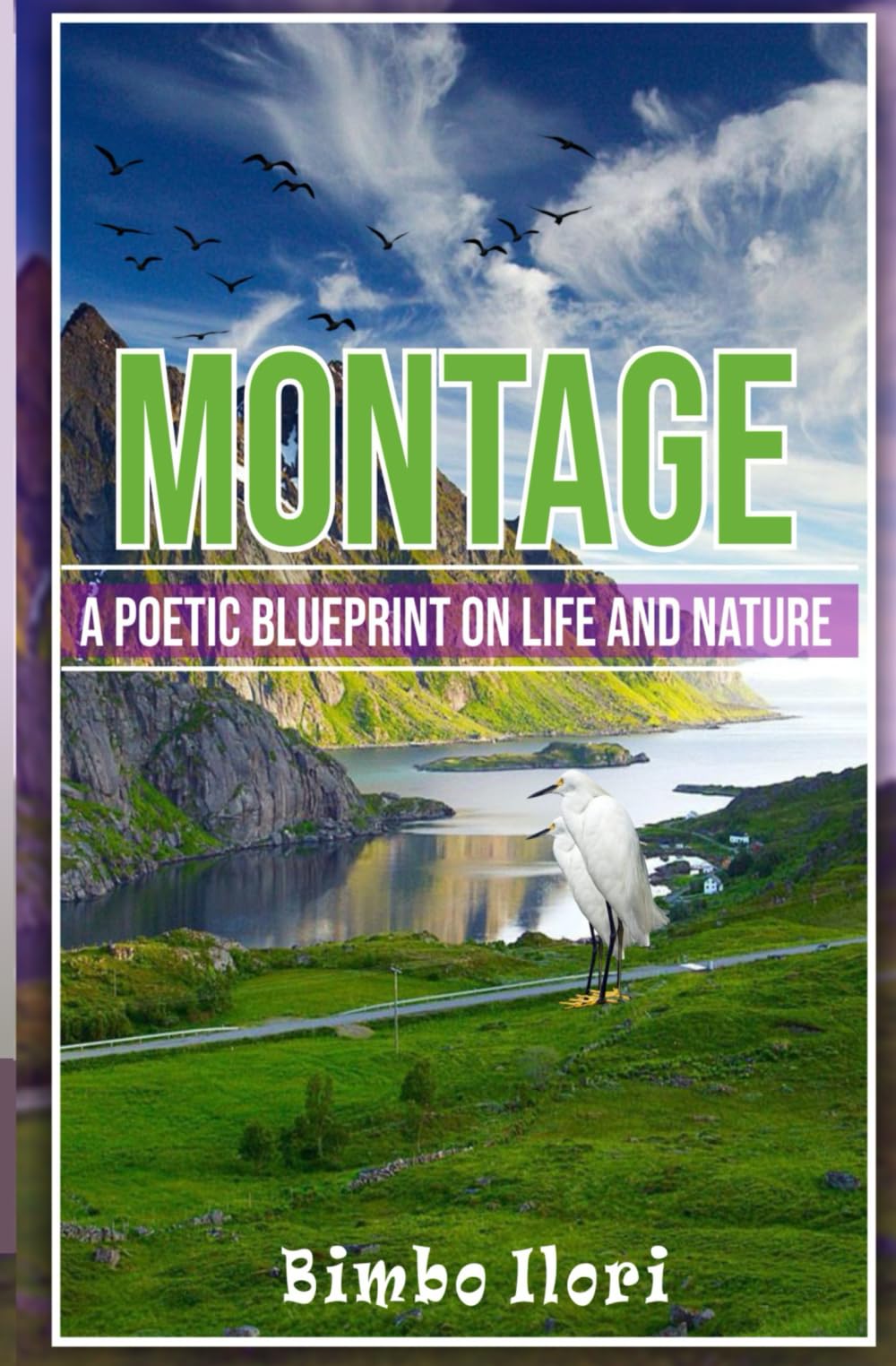 Montage: A poetic blueprint on nature and life (Faith Enrichment Series)