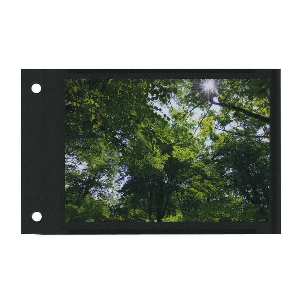 Amazon.co.jp: デルフォニックス PDフォトアルバムリフィル