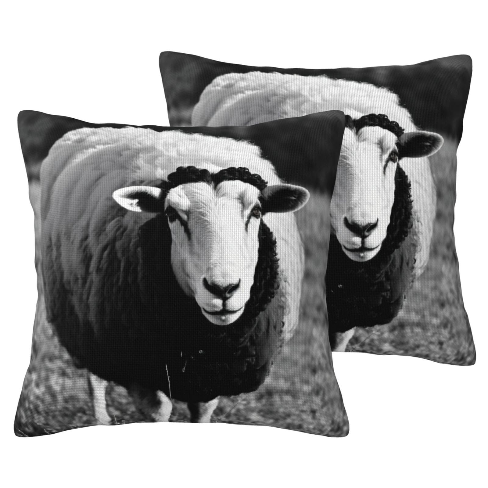 Housse de coussin mouton lot de 2 EdWal pour un salon cocooning