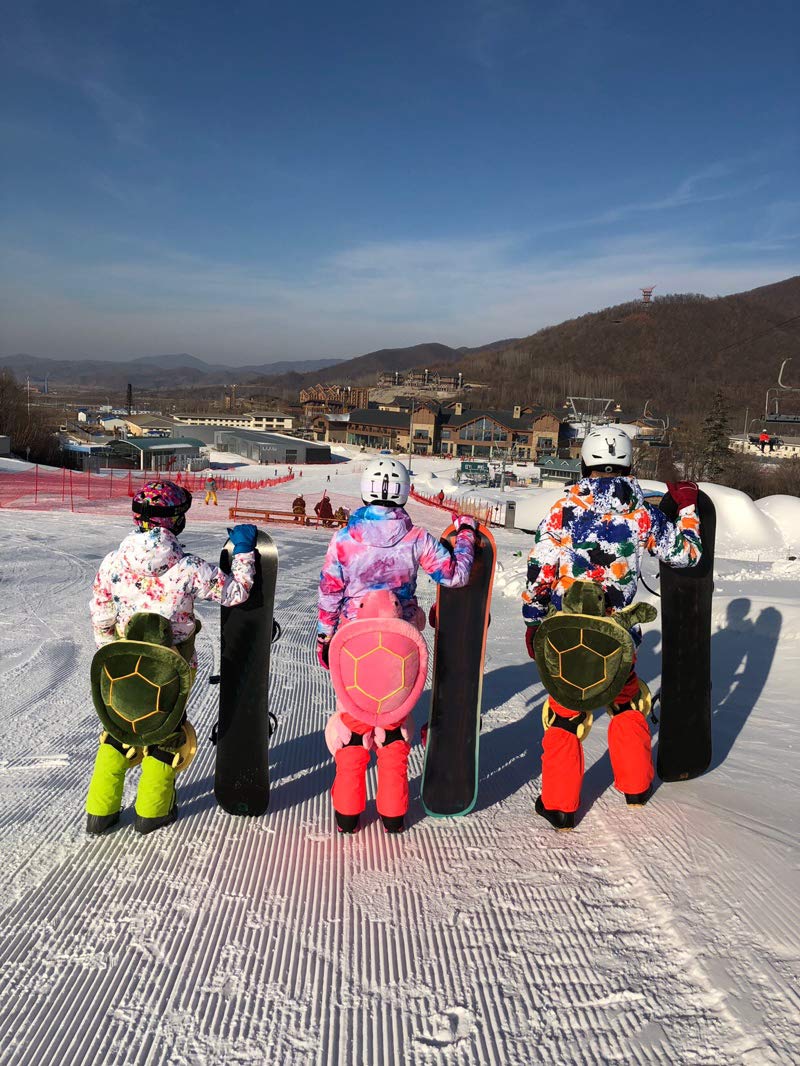 Schutzausrüstung für Skifahren, Skaten, Snowboarden, niedliches Schildkröten-Kissen