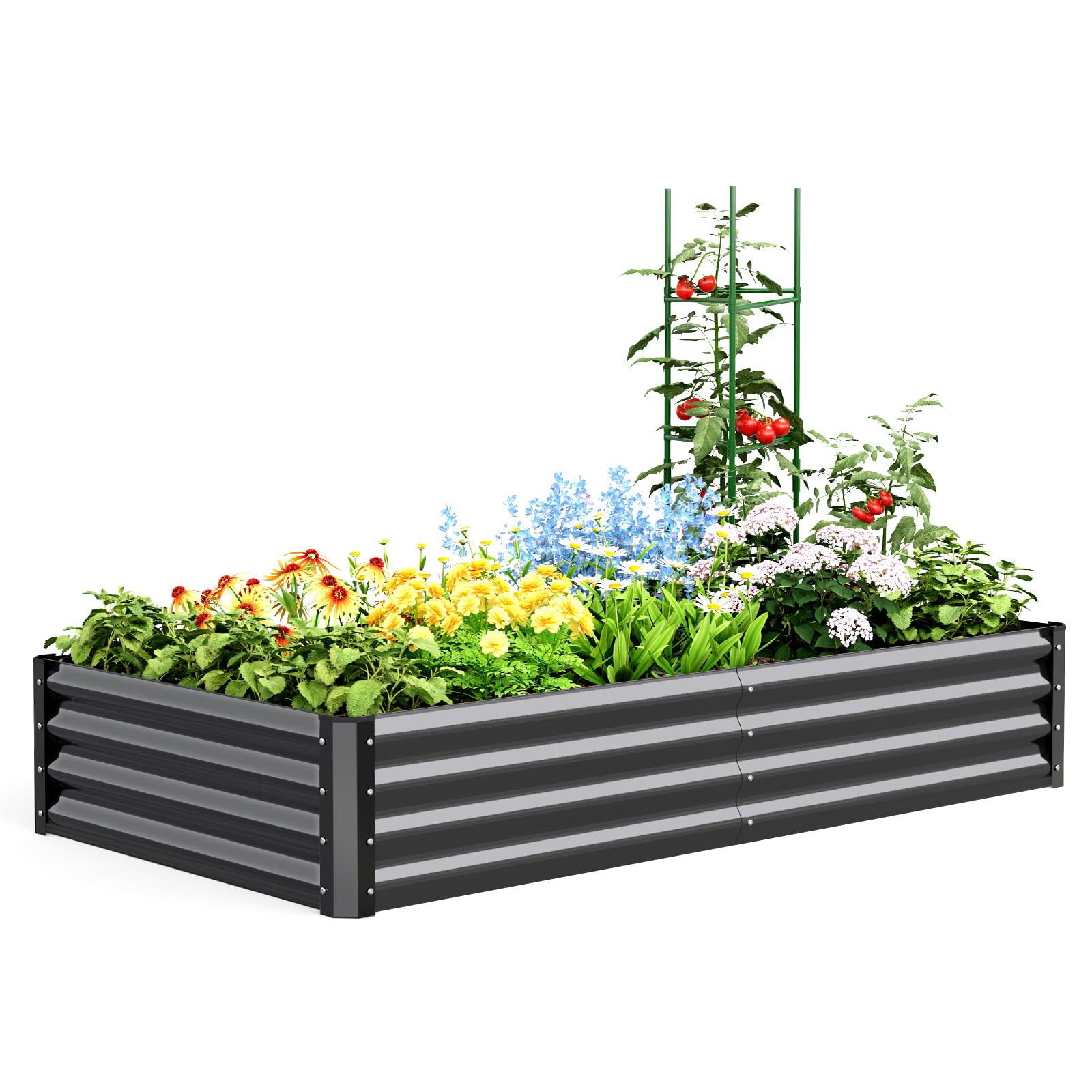 Quictent Orto RiAlzato in Metallo Galvanizzato, Fioriera Senza Fondo per Verdure con Gabbie per Pomodori Incluse, 180x90x30cm