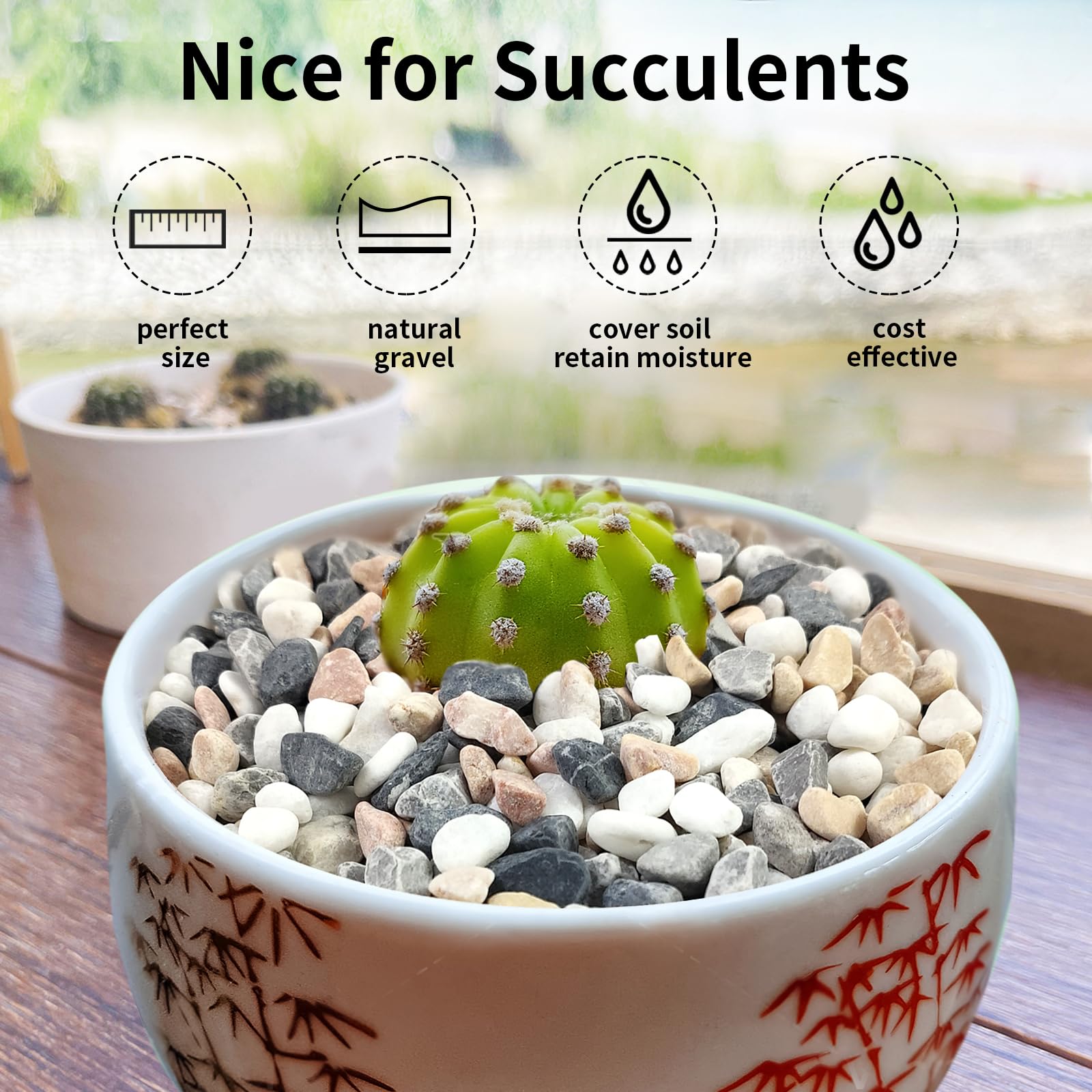FANTIAN 2 lbs Succulent and Cactus Pebbles Pea Gravel, 6-9 mm Colour Decorative Stones for Plants Pots Vases, Terrarium - Image 3