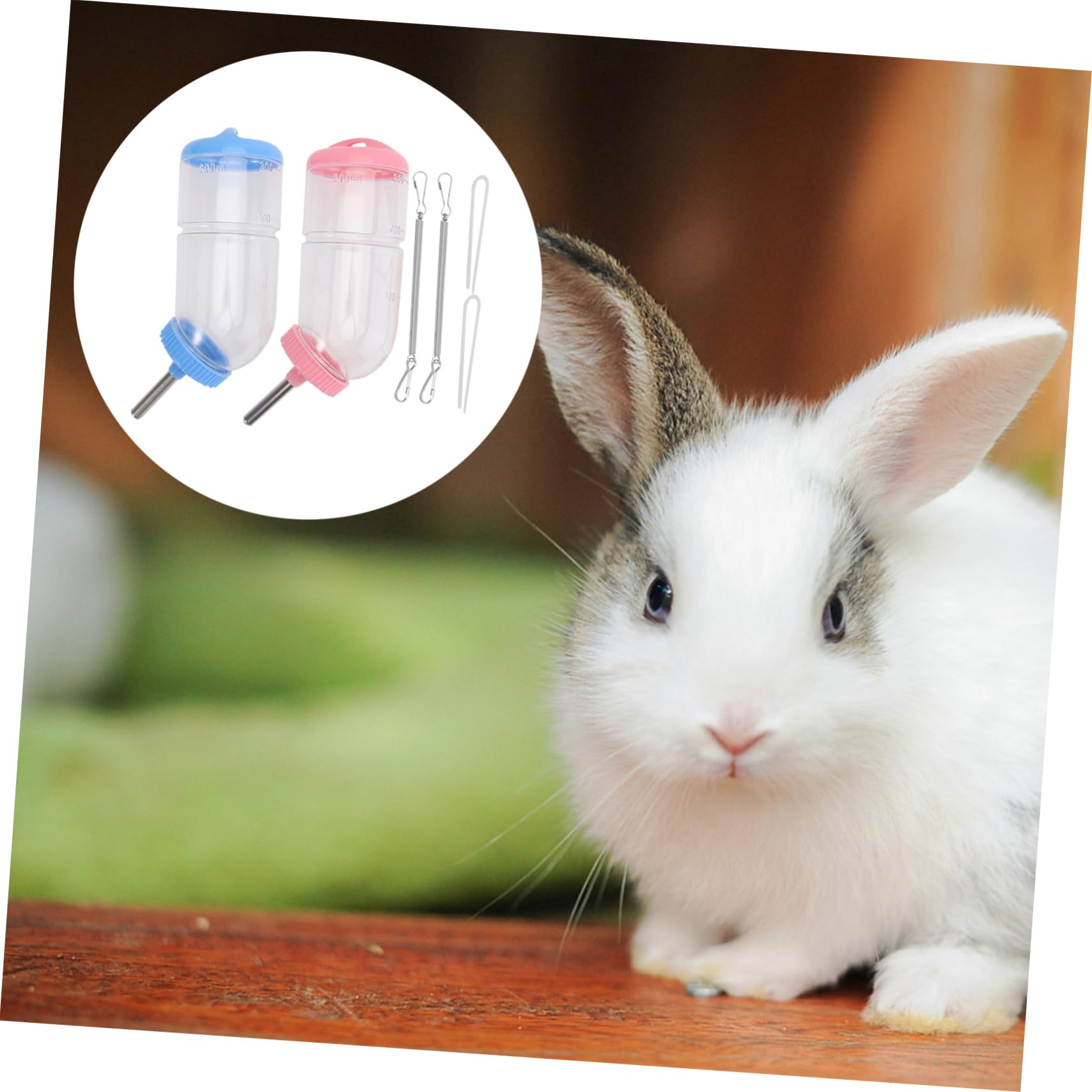FRCOLOR 6pezzi Abbeveratoio Per Conigli e Piccoli Animali Bottiglia e Pratica Inossidabile Con Tubo Trasparente