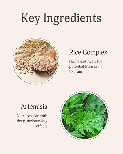 Miniatura 4 de Rice Artemisia - Limpiador de espuma (paquete de 1, 5.1 fl oz), lavado facial hidratante suave para pieles sensibles. Espuma facial hidratante