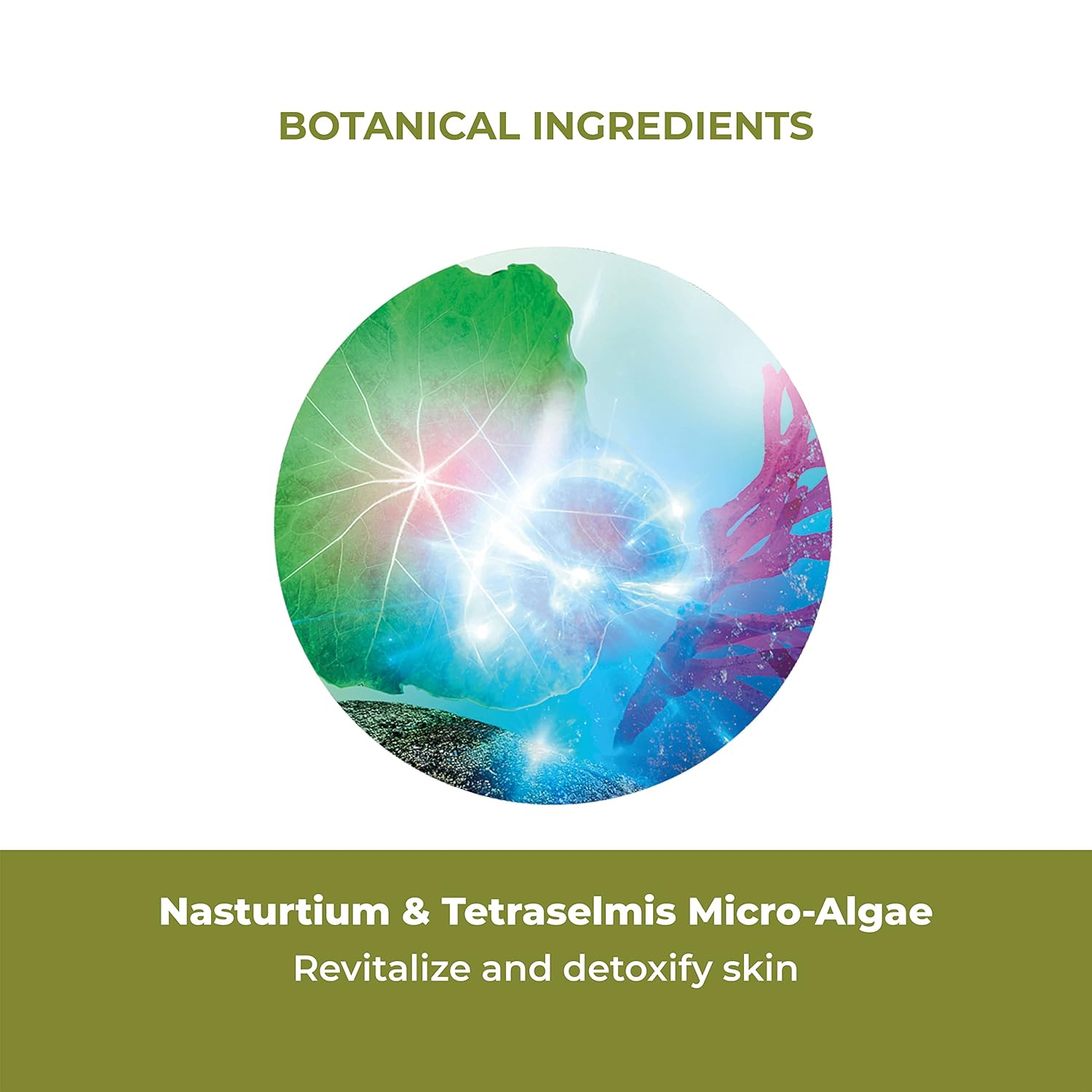 Yves Rocher Elixir Botanique Fortifying Anti-Pollution Daily Serum | Face Serum Protects Against Harmful Effects of Pollution | 1.69 Fl Oz - Image 4