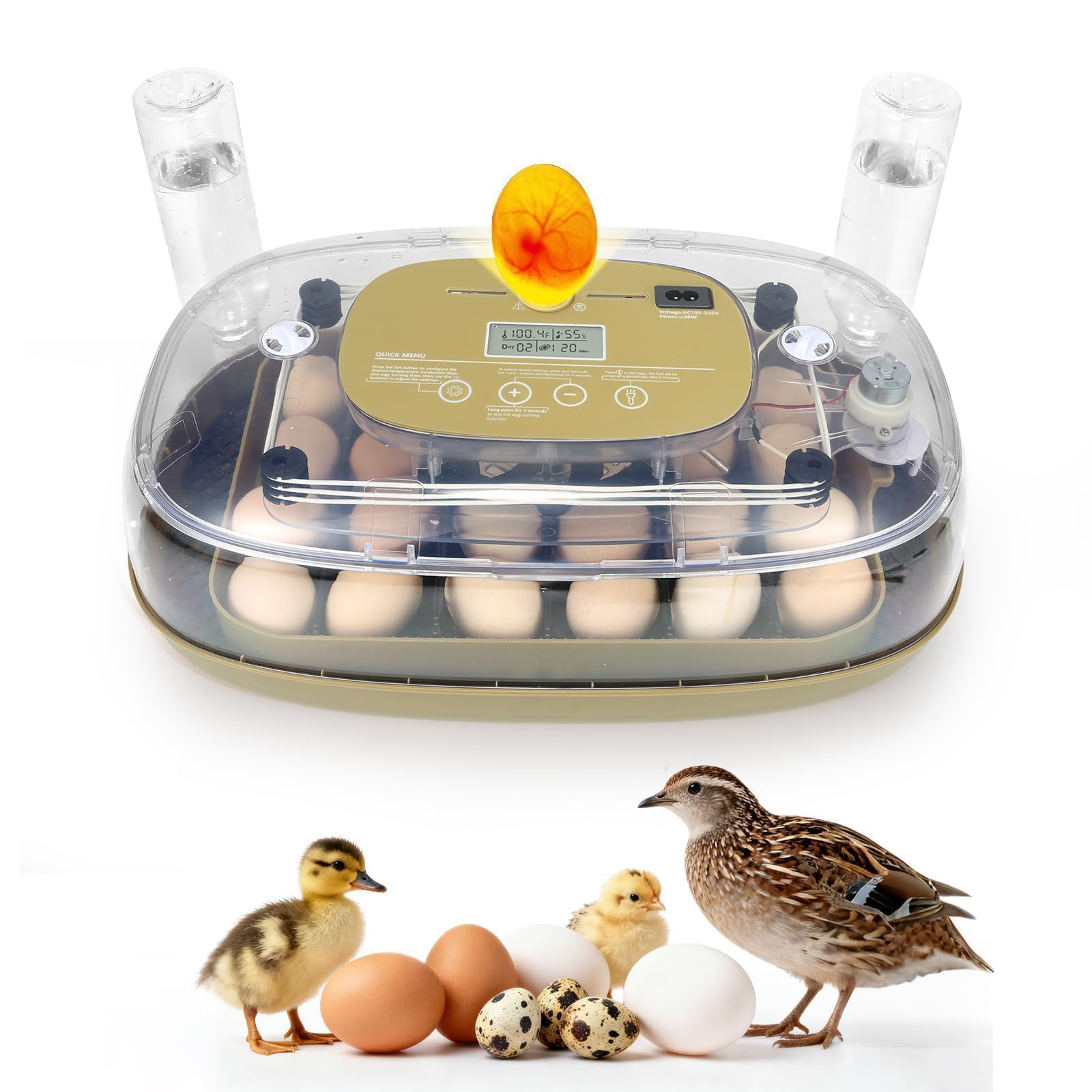 Incubadora de 24 huevos para incubar con girador automático, control inteligente de temperatura y humedad, visualización de 360°, vela de huevo, recarga de agua automática, ideal para pollo, pato