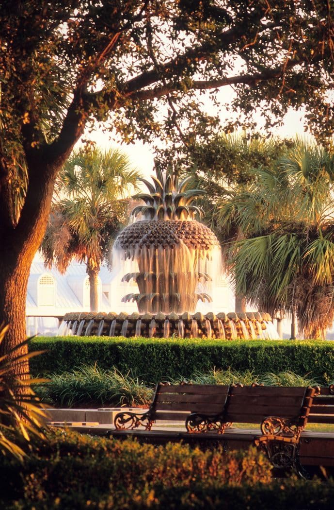 Charleston South Carolina USA The Waterfront Park Pineapple Fountain Urban Landscape Jigsaw Puzzle for Adults 1000 Pieces Fun Challenging Educational Gift Art