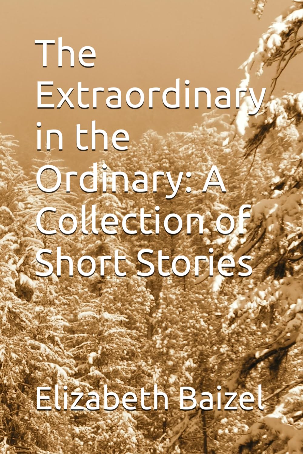 The Extraordinary in the Ordinary: A Collection of Short Stories: Second Edition