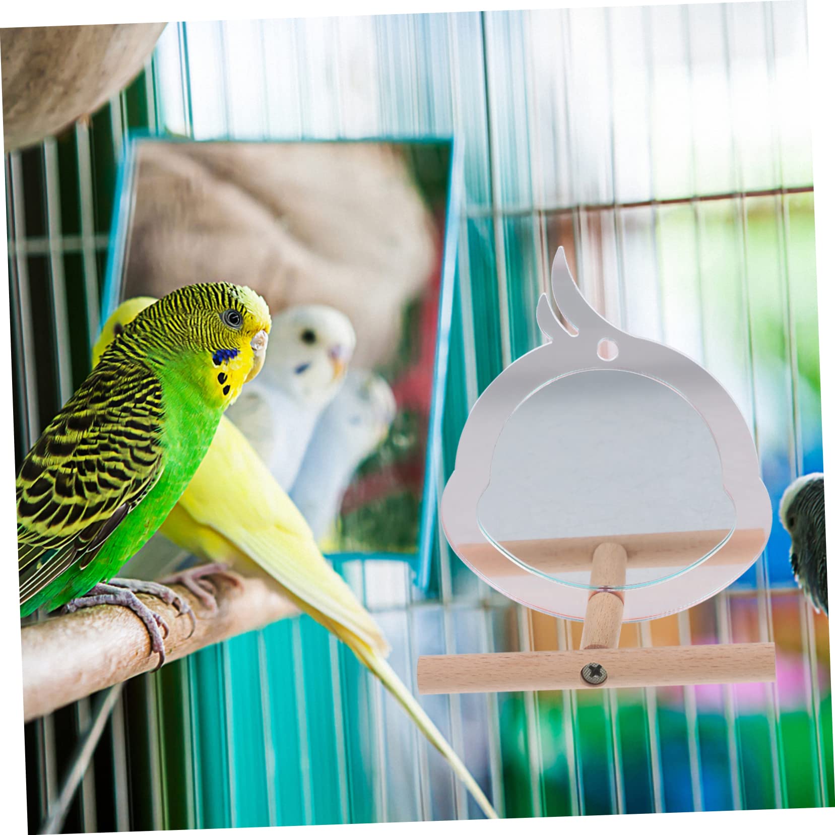 BESPORTBLE 5pezzi Posatoio Per Pappagalli Con Specchio Trespolo Resistente e Giocattolo Creativo Per Uccelli Accessorio Per Allenamento e Divertimento Di Pappagalli e Piccoli Animali