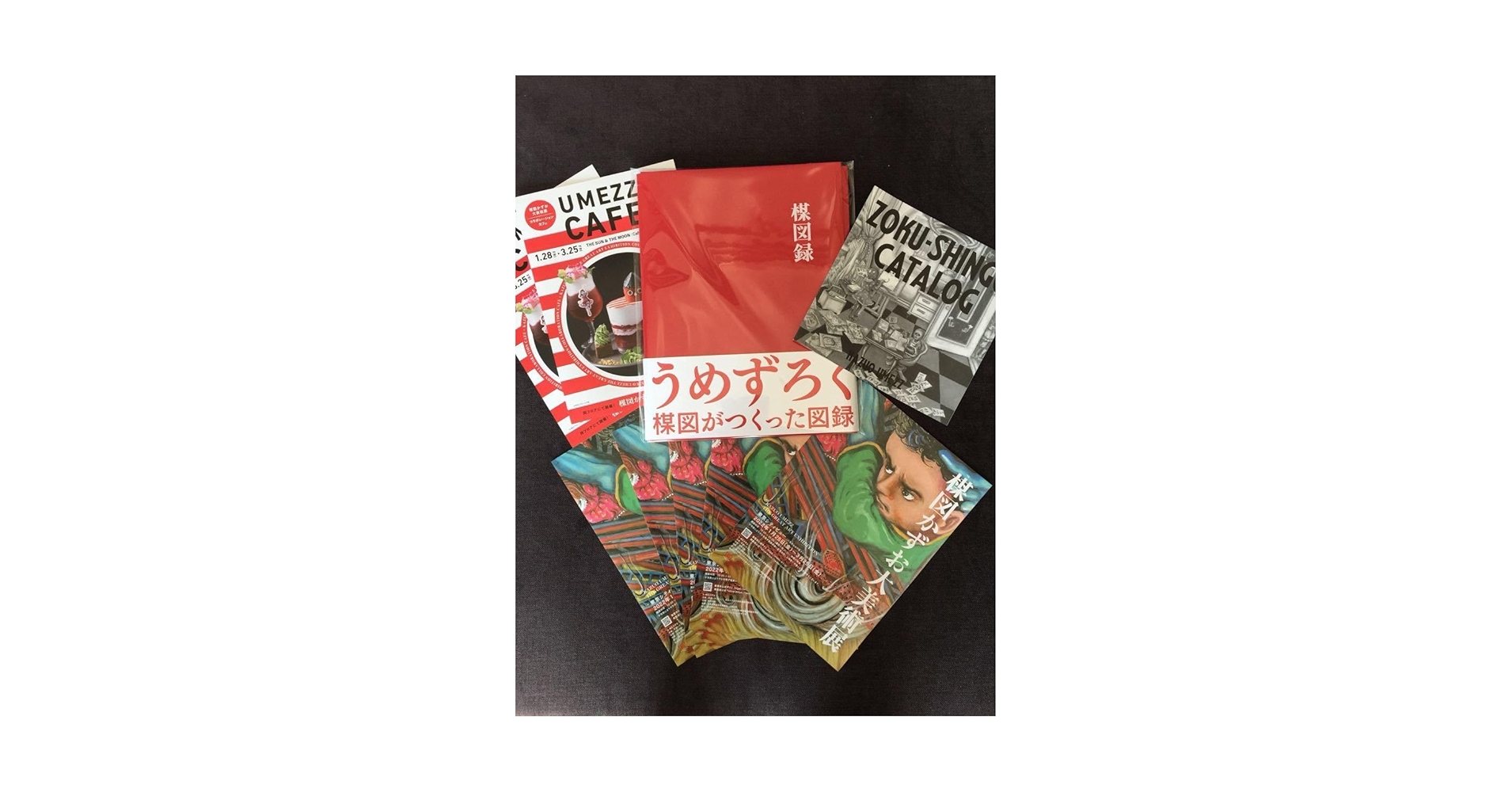 楳図録 うめずろく 楳図かずお おまけ付き Amazon.co.jp: 楳図録 うめずろく 楳図かずお大美術展 : おもちゃ