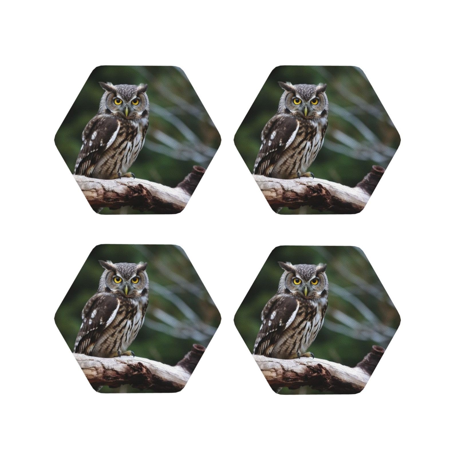 4Pcs PU Leather Coaster for Drinks, Wild Owl Birds Cup Coastersr 4" Cup Mat Pad, Aesthetic Drink Coasters for Coffee Table, Hexagon Coaster for Tabletop Protection