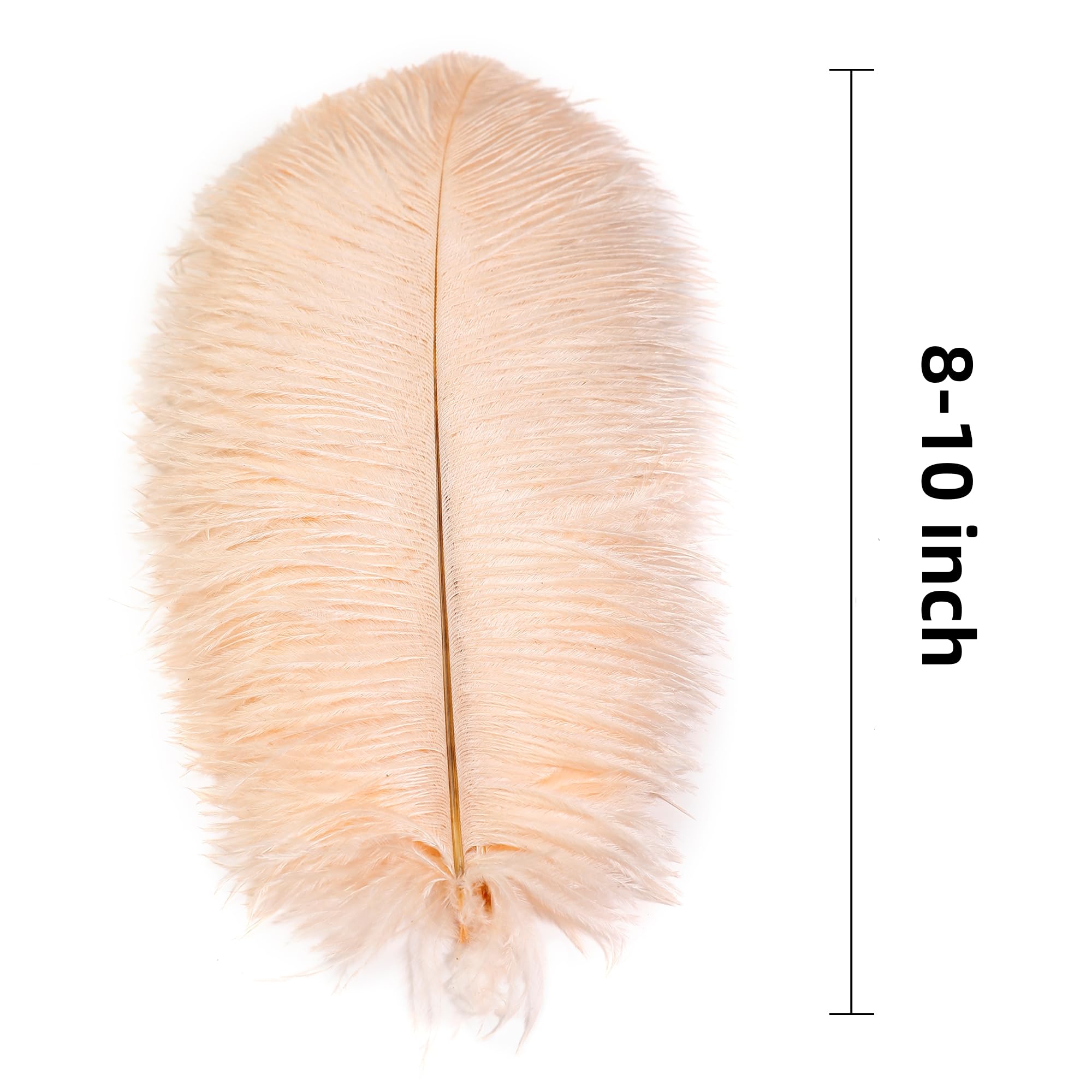 Pióra rzemieślnicze, Strusie pióra rzemieślnicze 24 szt. Wielokolorowe, różne rozmiary(Light Salmon,12-14 inch - 24Pcs)