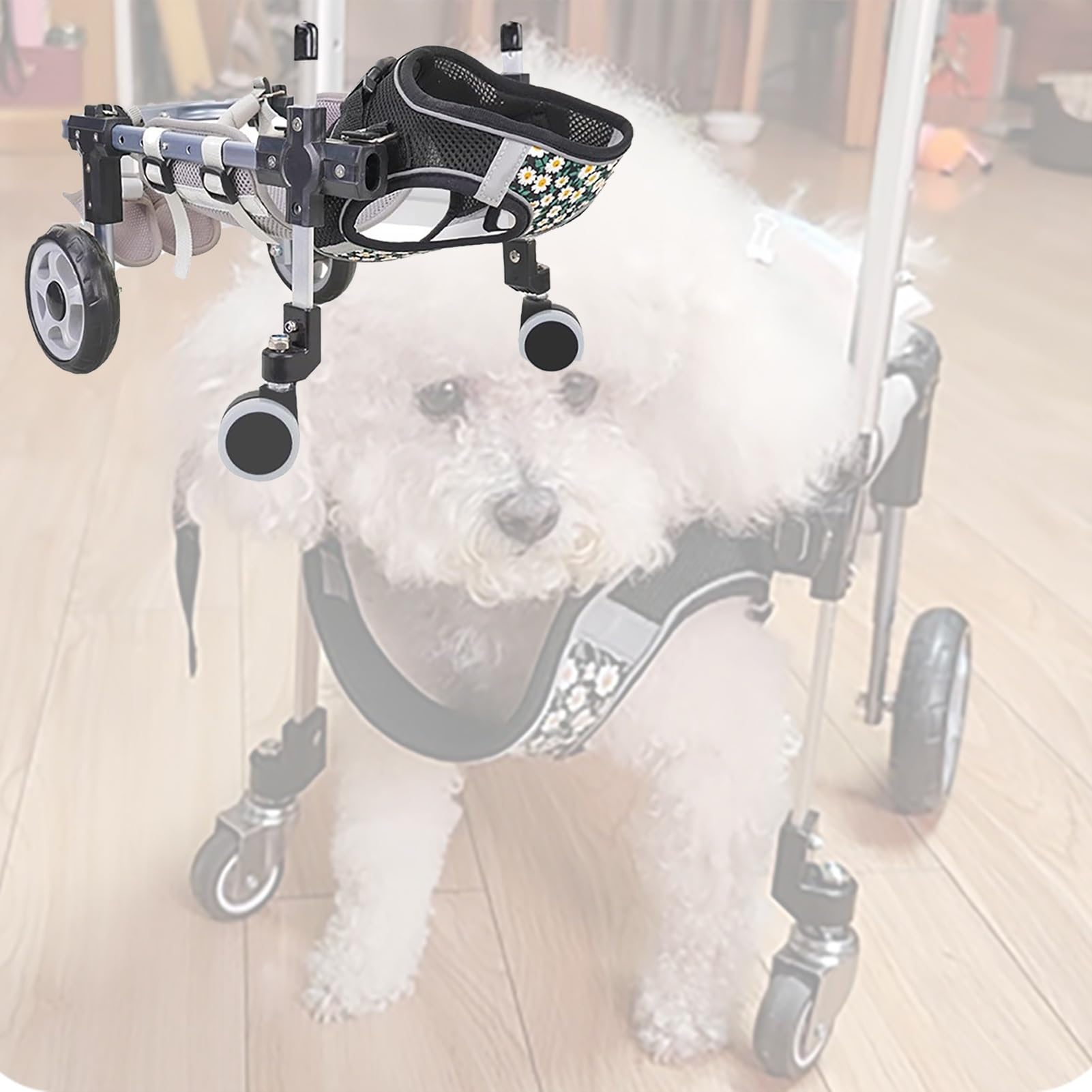 Silla de ruedas para perros con soporte de patas traseras para que vuelva a correr feliz