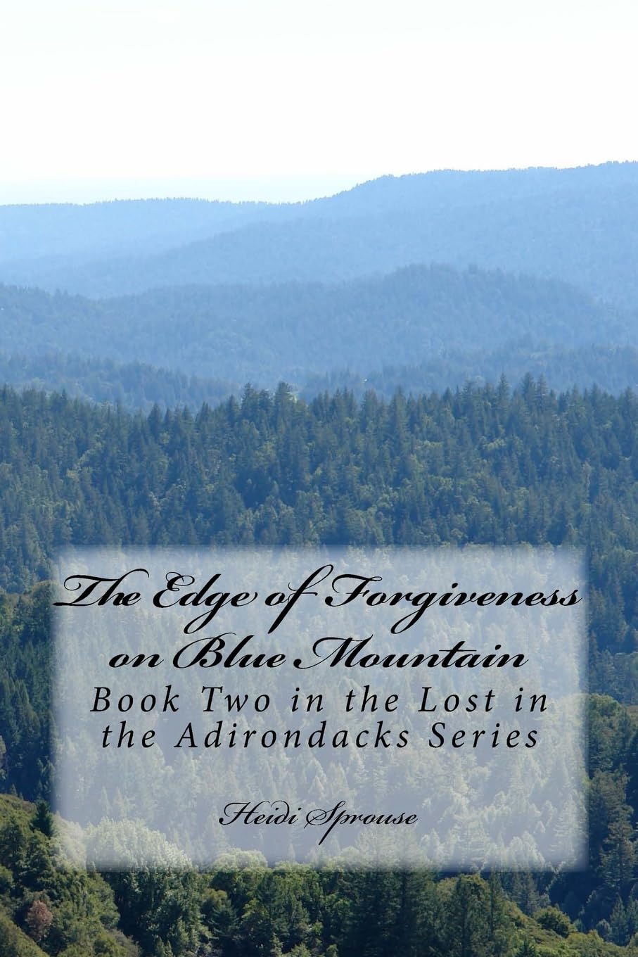 The Edge of Forgiveness on Blue Mountain: Book Two in the Lost in the Adirondacks Series: Volume 2