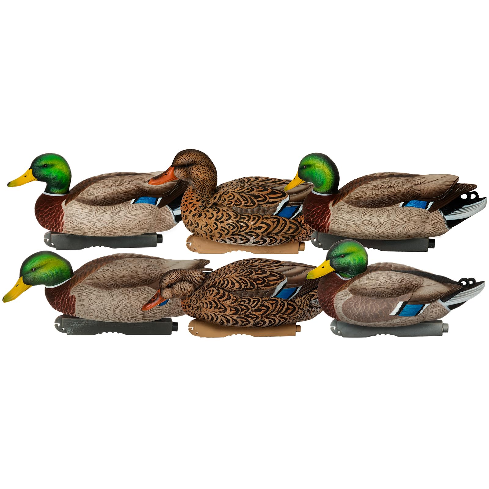 Avery GHG Pro-Grade XD Series Mallard Harvester Pack Decoys | Realistic Durable Floating Duck Hunting Decoy Set | Anatomical Poses, Supple Bodies, Life-Like Details, 60/40 Swim Keel, 6-Pack (76118)