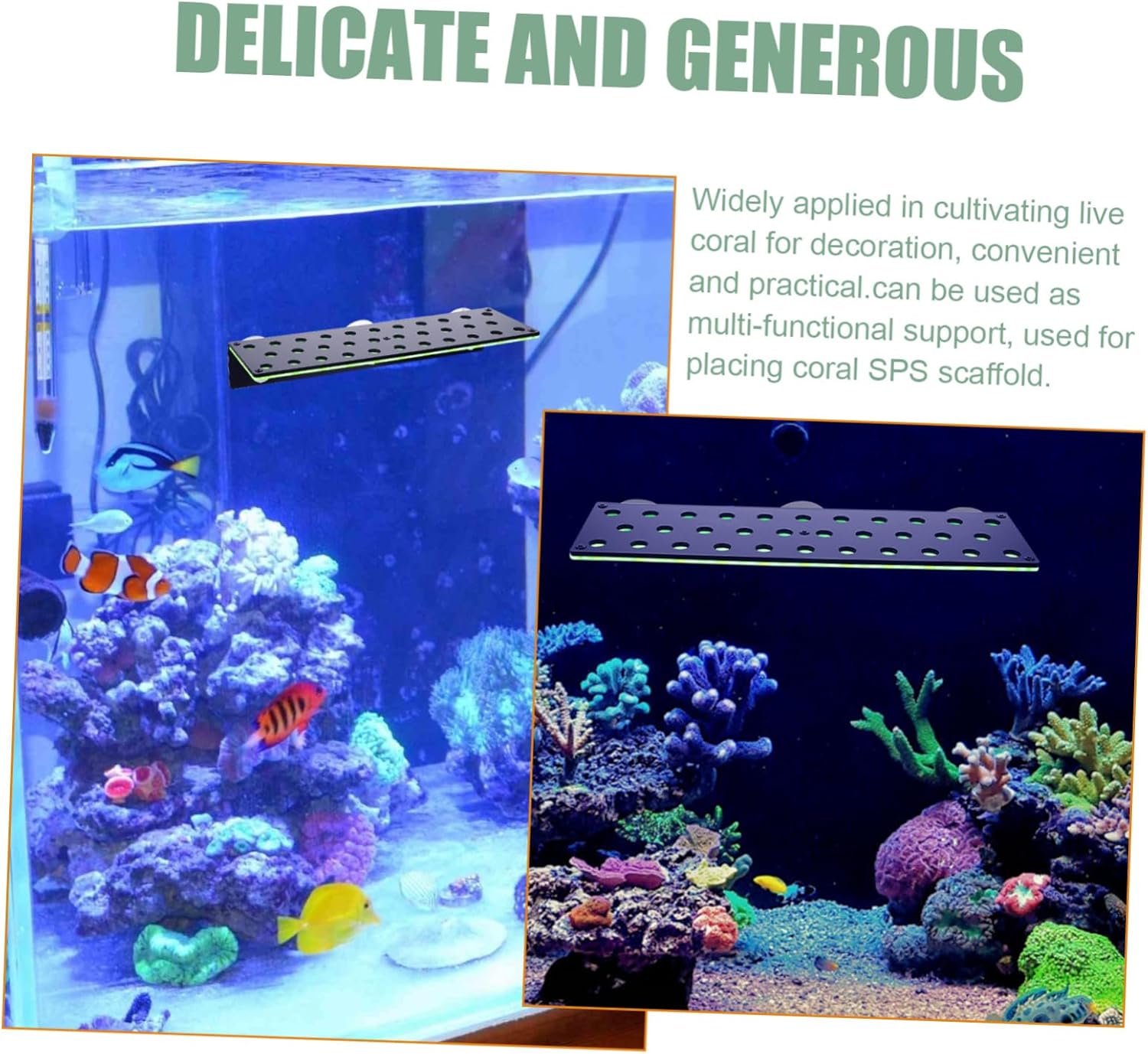 VANZACK Fluorescent Green Coral Rack Double-Layer Holder for Coral Aquarium Accessory for Reef Tanks and Aquatic Plants