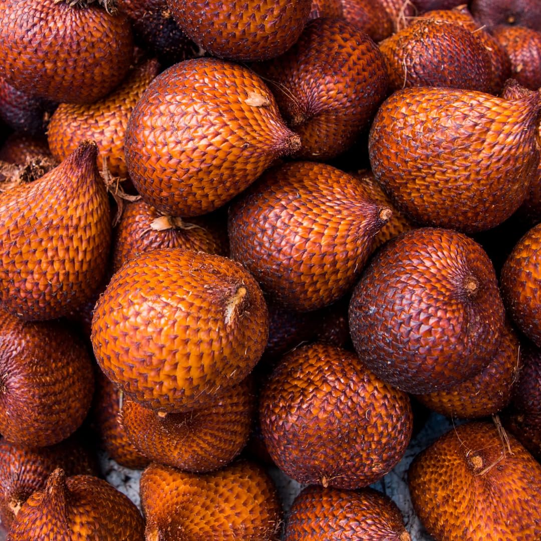 M-Tech Gardens Salak/Snake Fruit Fruit Plant (Salacca zalacca, Hybrid) Exotic 1 Live Fruit Plant (B0DFZ1KP9T) Amazon Price History, Amazon Price Tracker
