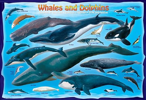 Miniatura 2 de EuroGraphics - Puzzle de ballenas y delfines 100 piezas