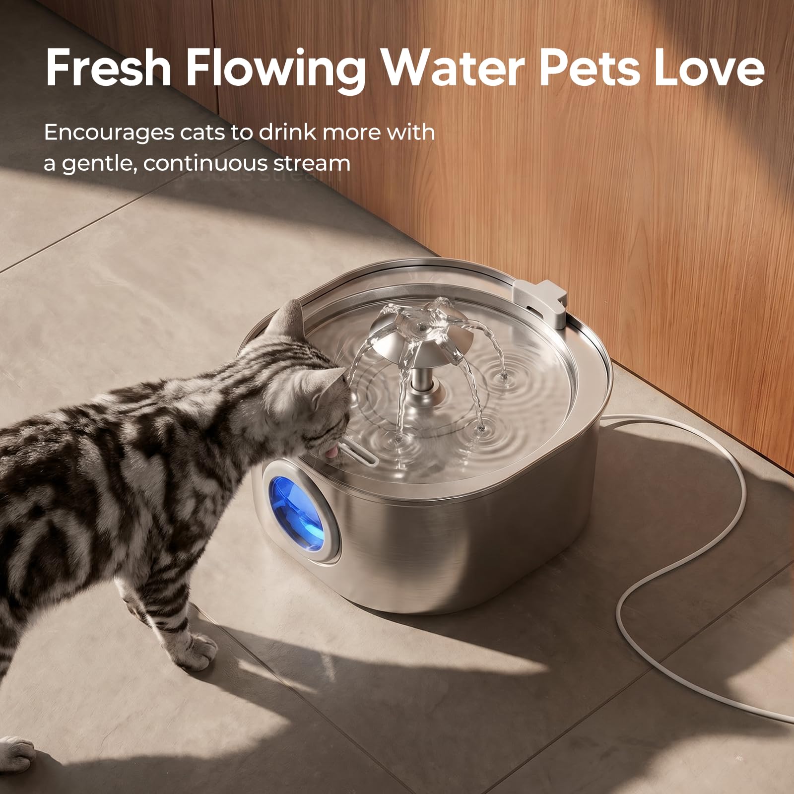 PEKTACO Fuente de acero inoxidable para gatos y perros pequeños, 3,2 L