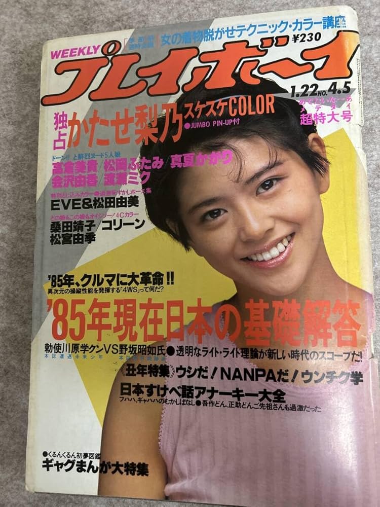 希少 週刊プレイボーイ 1985年/昭和60年 全52号51冊揃 希少 週刊プレイボーイ 1985年/昭和60年 全52号51冊揃 希少 週刊