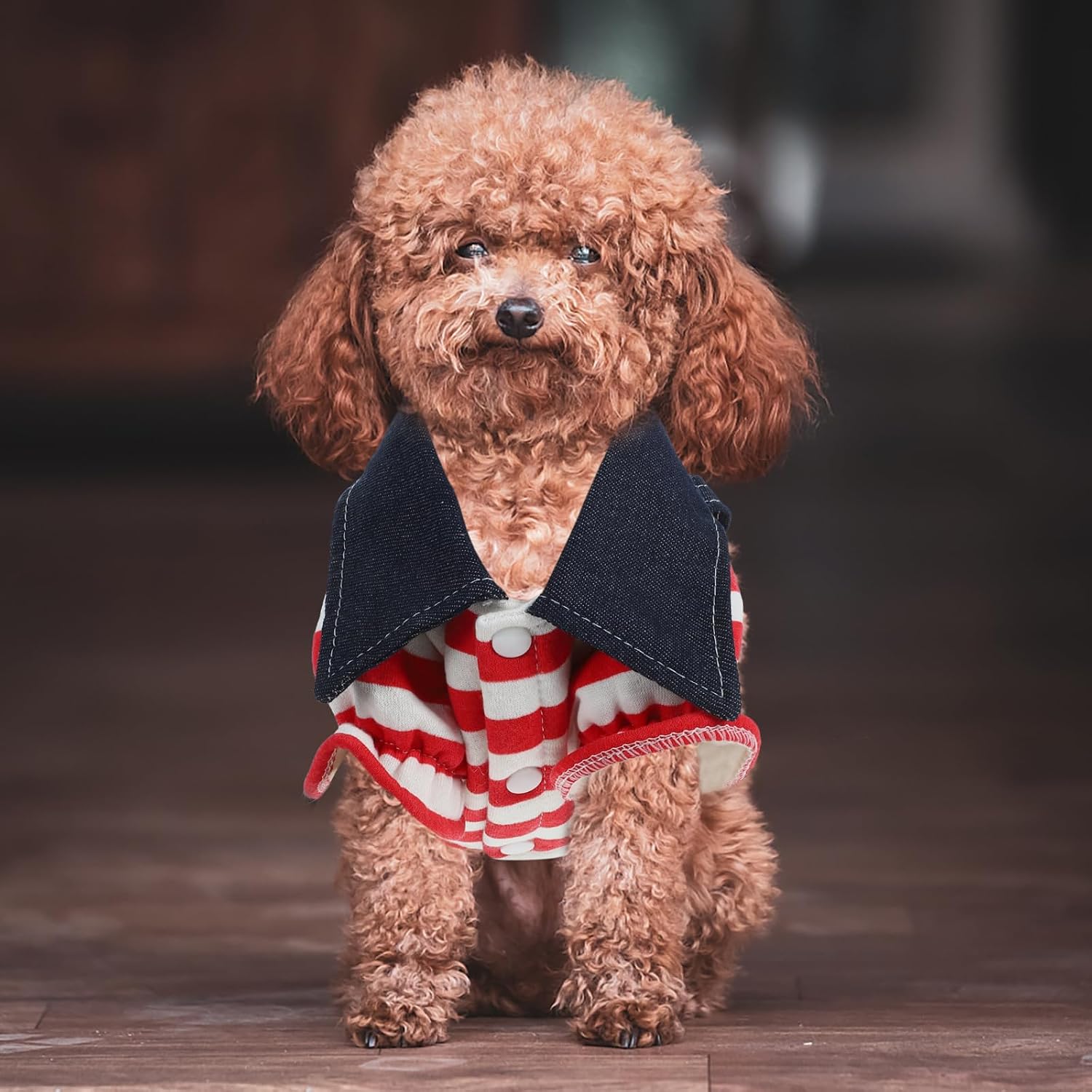 Small Dog Denim Dress: Dog Denim Jumpsuit Puppy Dresses Apparel Small Costume Pet Jean Skirt Clothes for s Girl