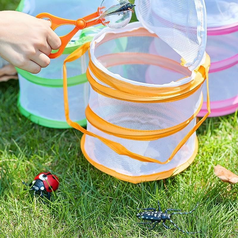 Habitat de papillon, filet pliable pour encoches portables, cage à papillons pour traiteur, fermeture papillon pour utilisation en intérieur