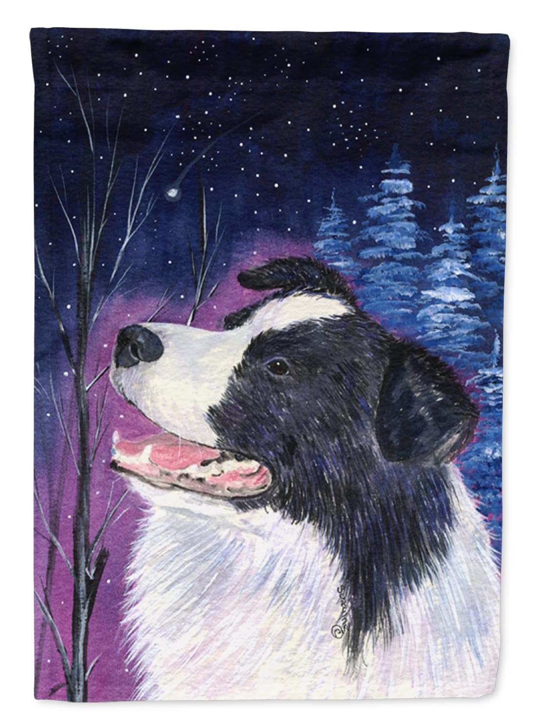 Drapeau Border Collie pour jardin au style artistique décoration extérieure de terrasse