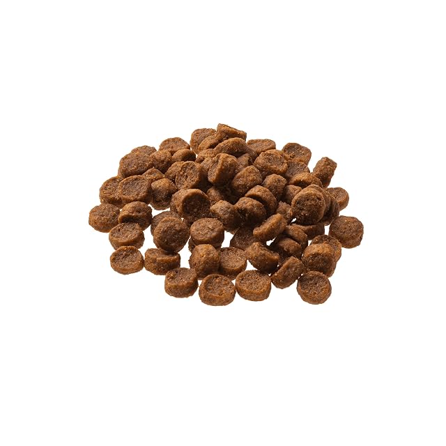 Foto 4 de 6 de GranataPet Mini Royal Junior, alimento seco para Perros, Comida para Perros sin Cereales y sin azúcar añadido