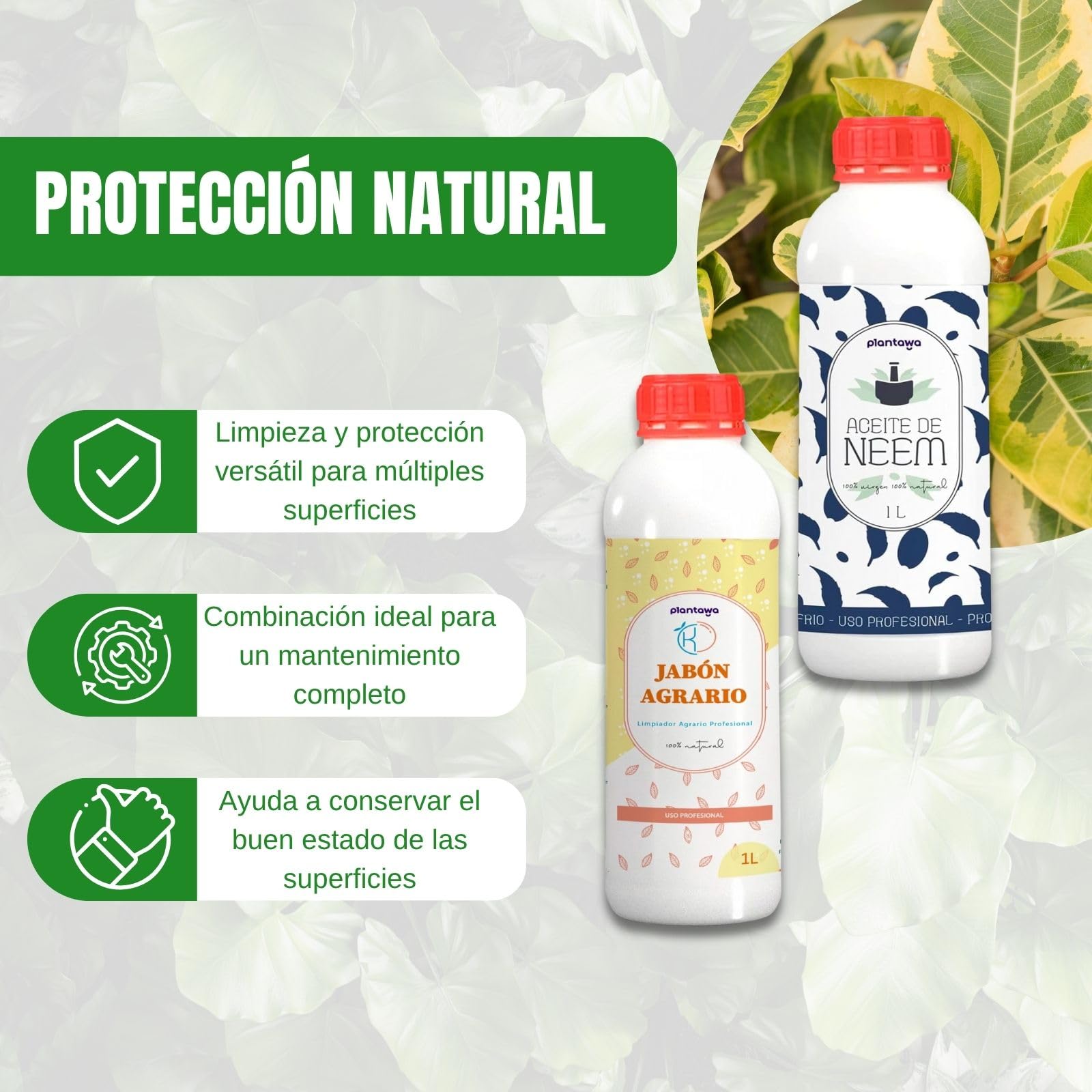 PLANTAWA Confezione risparmio sapone di potassio 1L + olio di Neem 1L, 100% naturale protezione orto, sostenibile, alta concentrazione, mosca bianca, ragno rosso, afide, cocciniglia