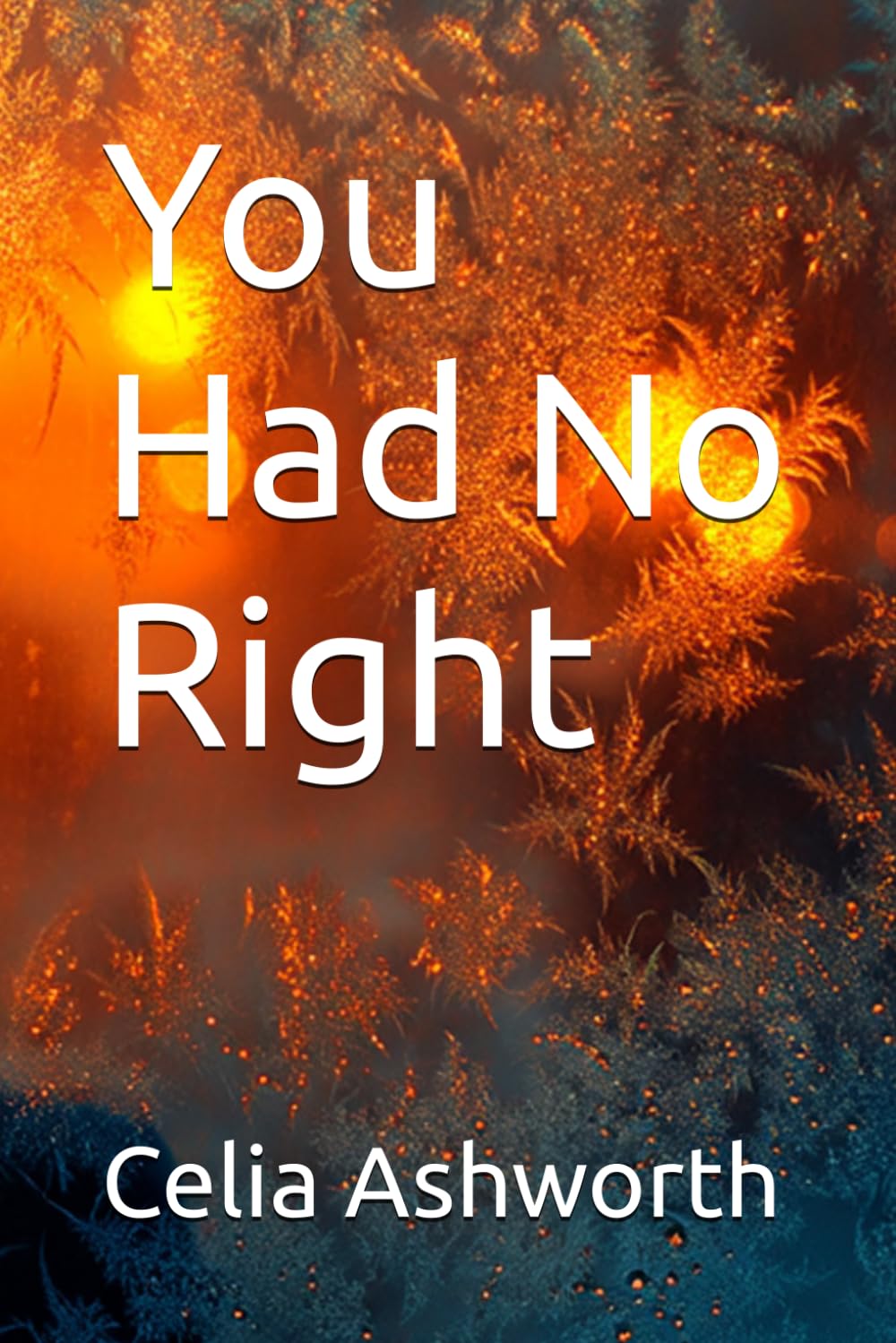 You Had No Right (Ashworth Thrillers)