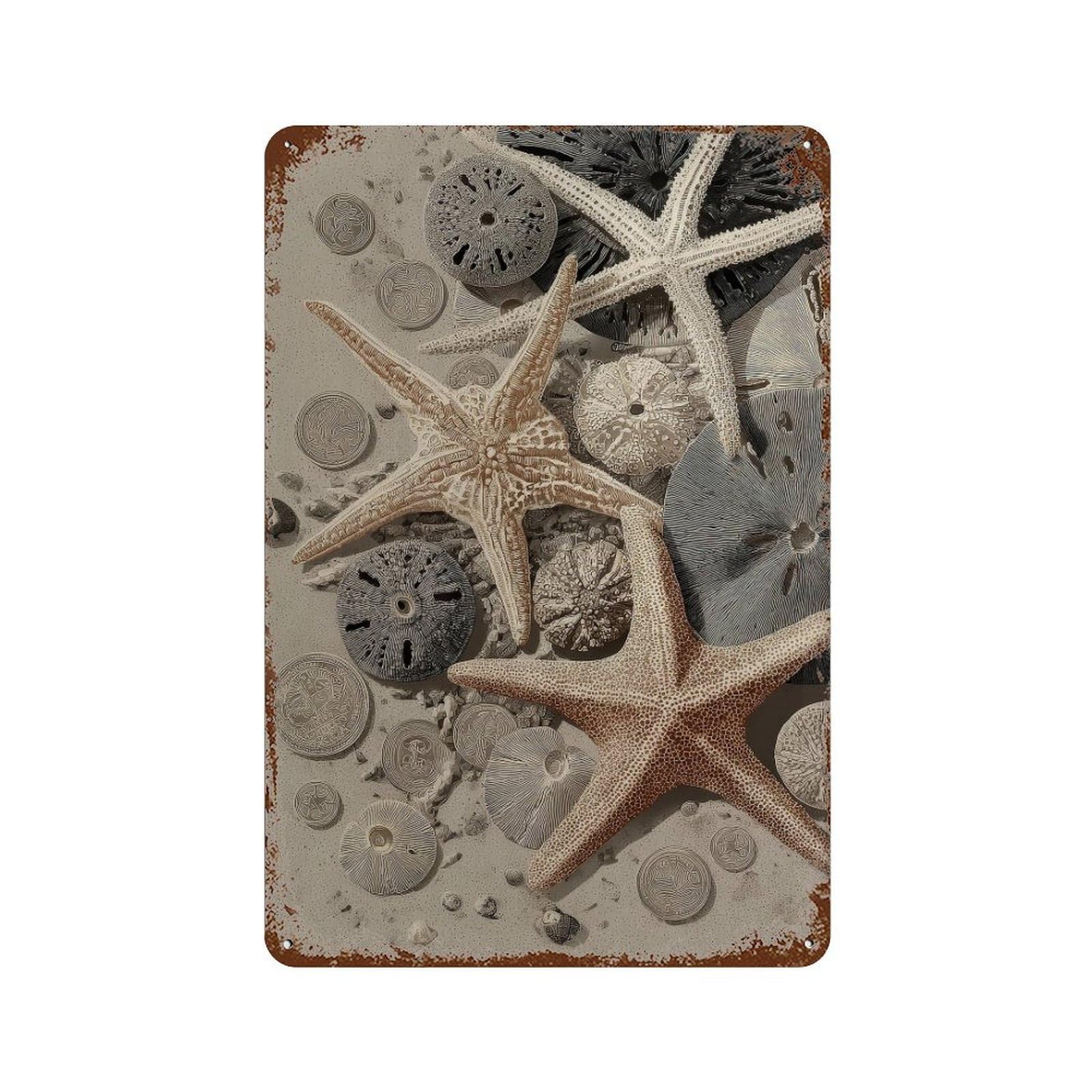 xiaoxiaoshen Starfish And Sea Urchins. Naturalistic Scientific Wall Decor Art Metal Tin Poster Modern Home Decor Art Home Bar Shop Decorations Vintage Sign 30x20cm