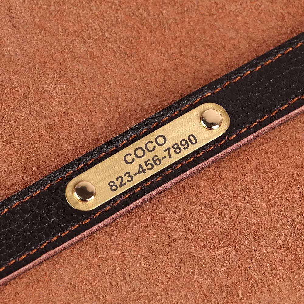 PET ARTIST Personalisiertes Hundehalsband Aus Leder – Größe M (30-40 Cm), Weich & Leicht