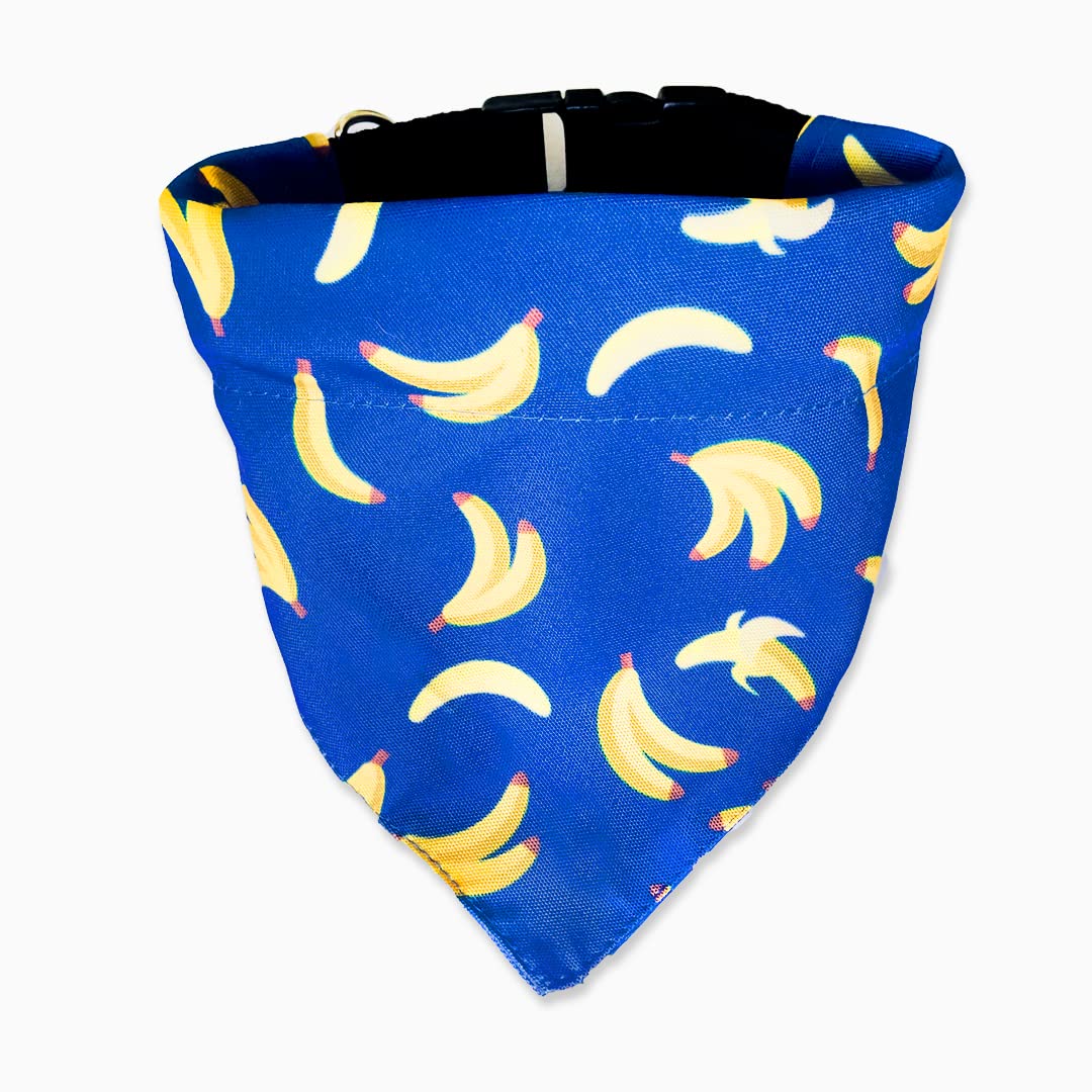 That Dog In Tuxedo Bananarama Dog Bandana (Size XL) (B0B7GLTDBK) Amazon Price History, Amazon Price Tracker