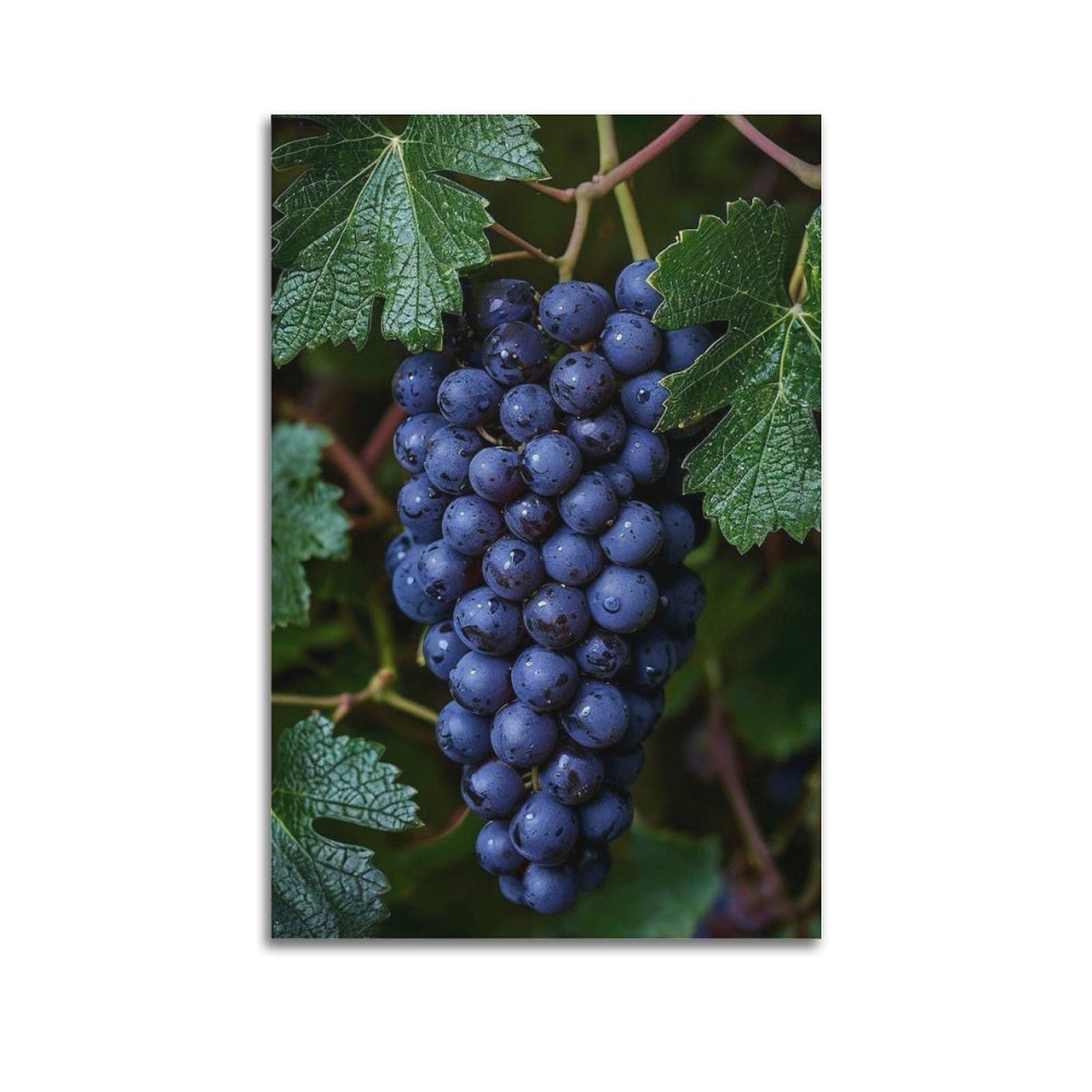 Grappe de raisin violette art mural 60x90cm pour salon accueillant - 6