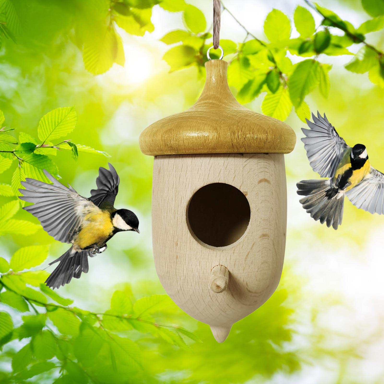 天然 希少 鳥の巣 インテリア ハタオリドリ科 メス 71ZVvp0gIZL._UF350,350_QL50_.jpg