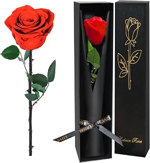 Red Single Forever Roses in a Box,Preserved Flowers for Delivery,Preserved Rose Gifts for Women, Real Roses Gift for Her, Mom Birthday Gifts, Mothers Day Flowers,Valentines Flowers